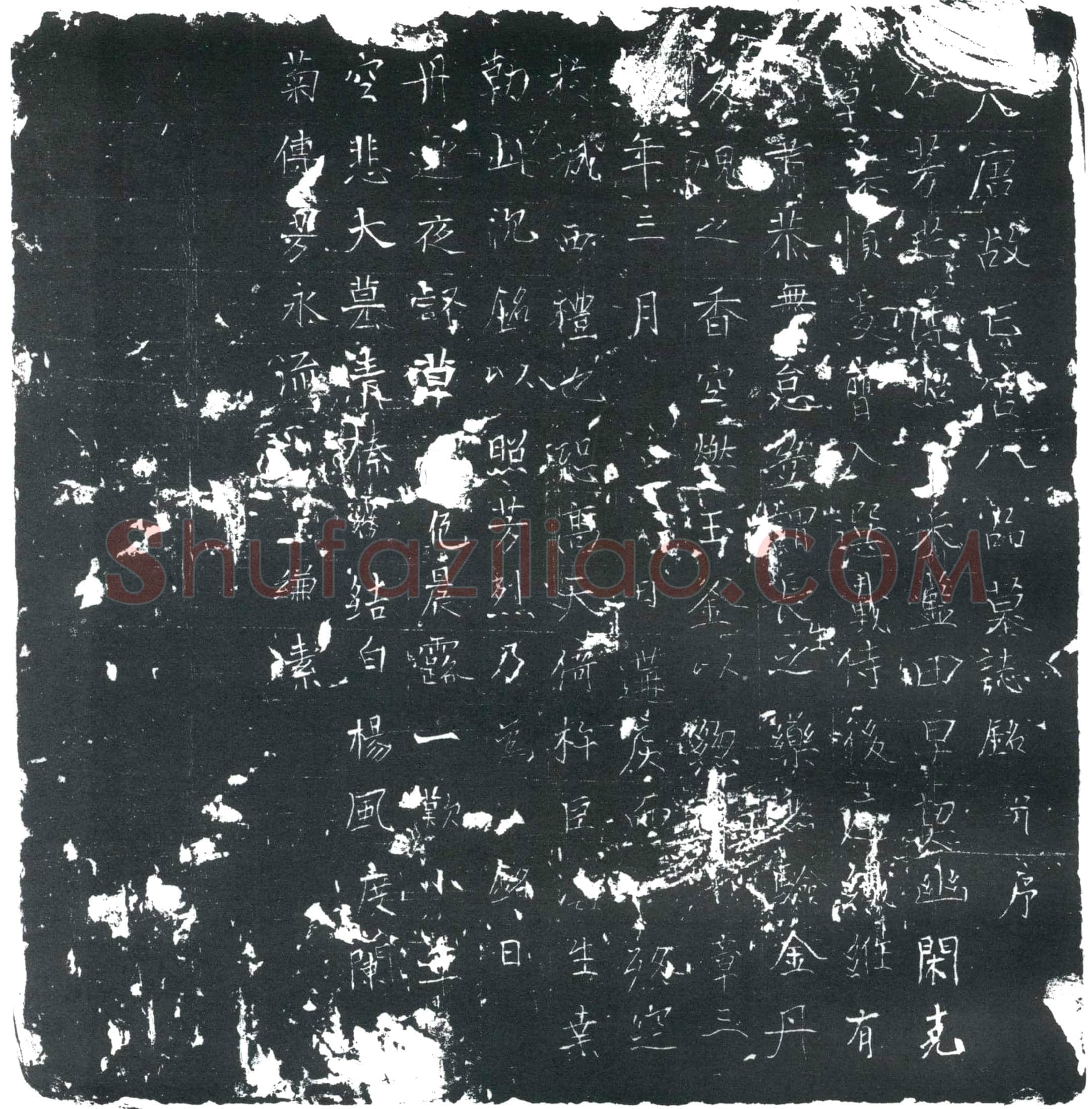唐 八品亡宫 墓誌