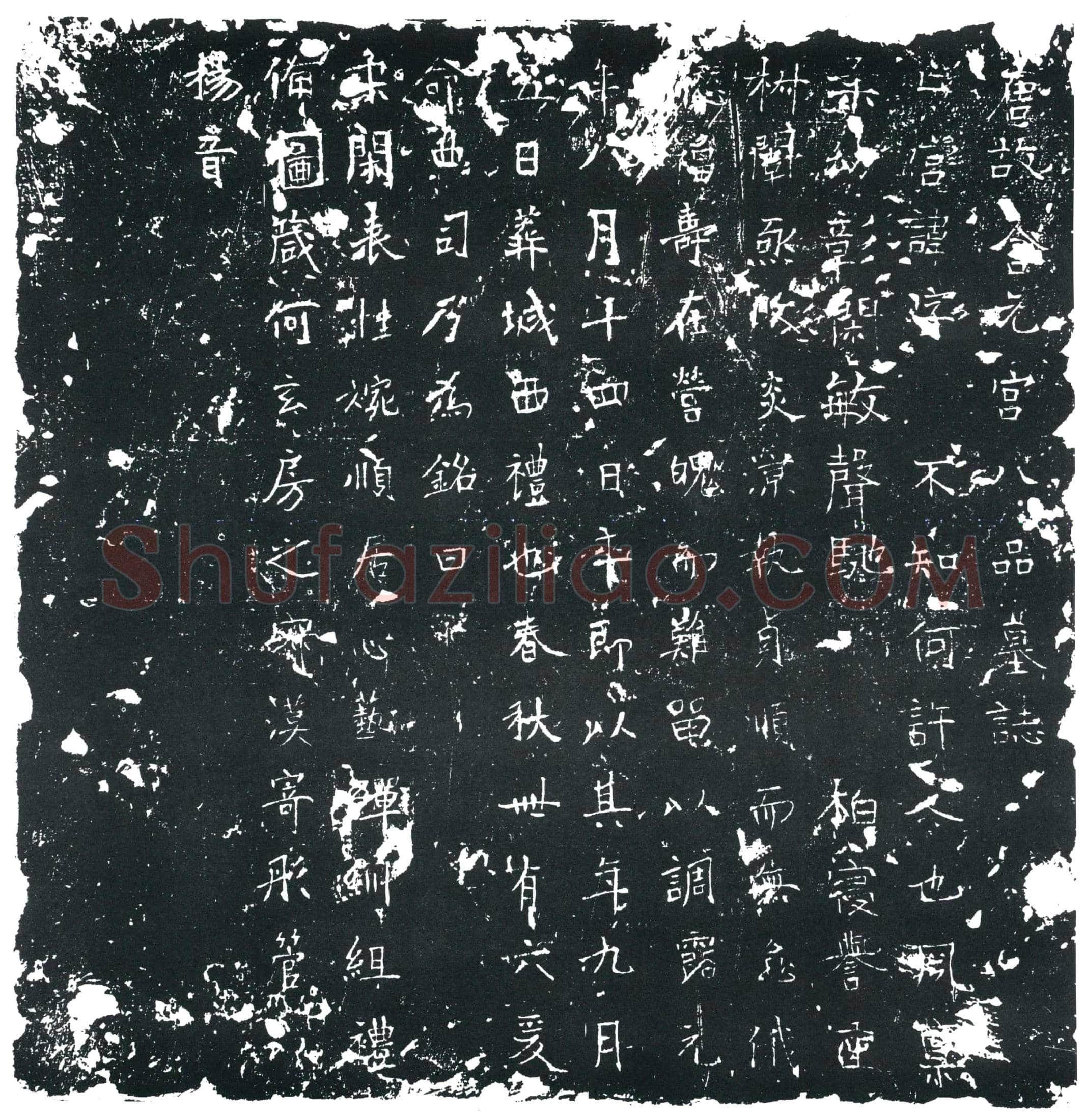 唐 八品亡宫 墓誌
