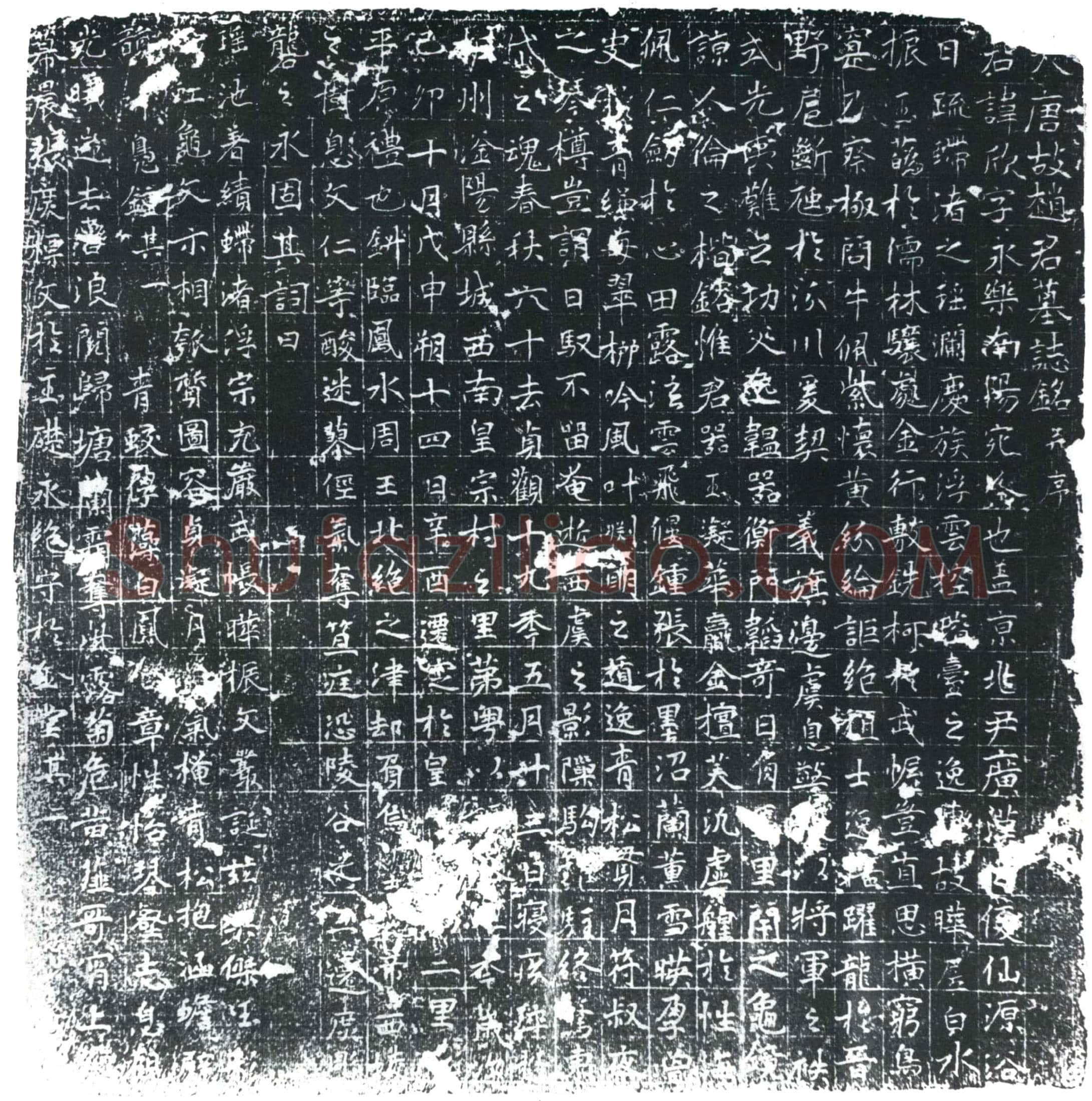 唐 赵欣 墓誌