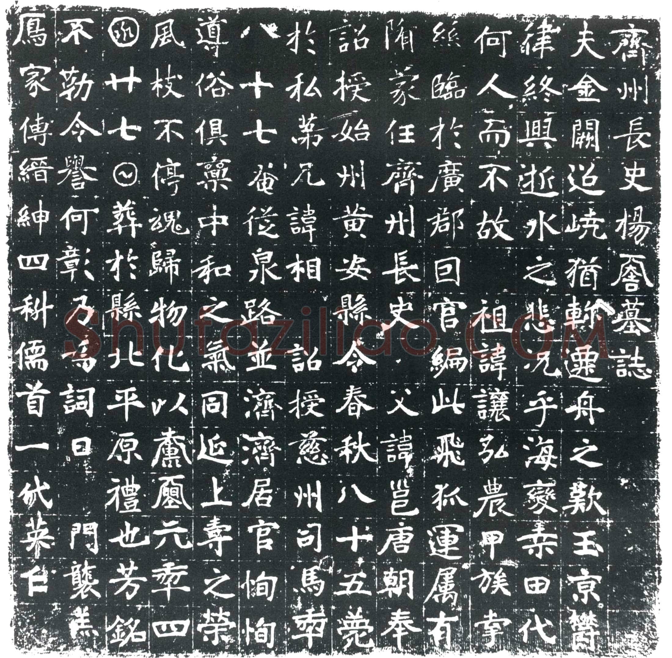 唐杨君墓誌