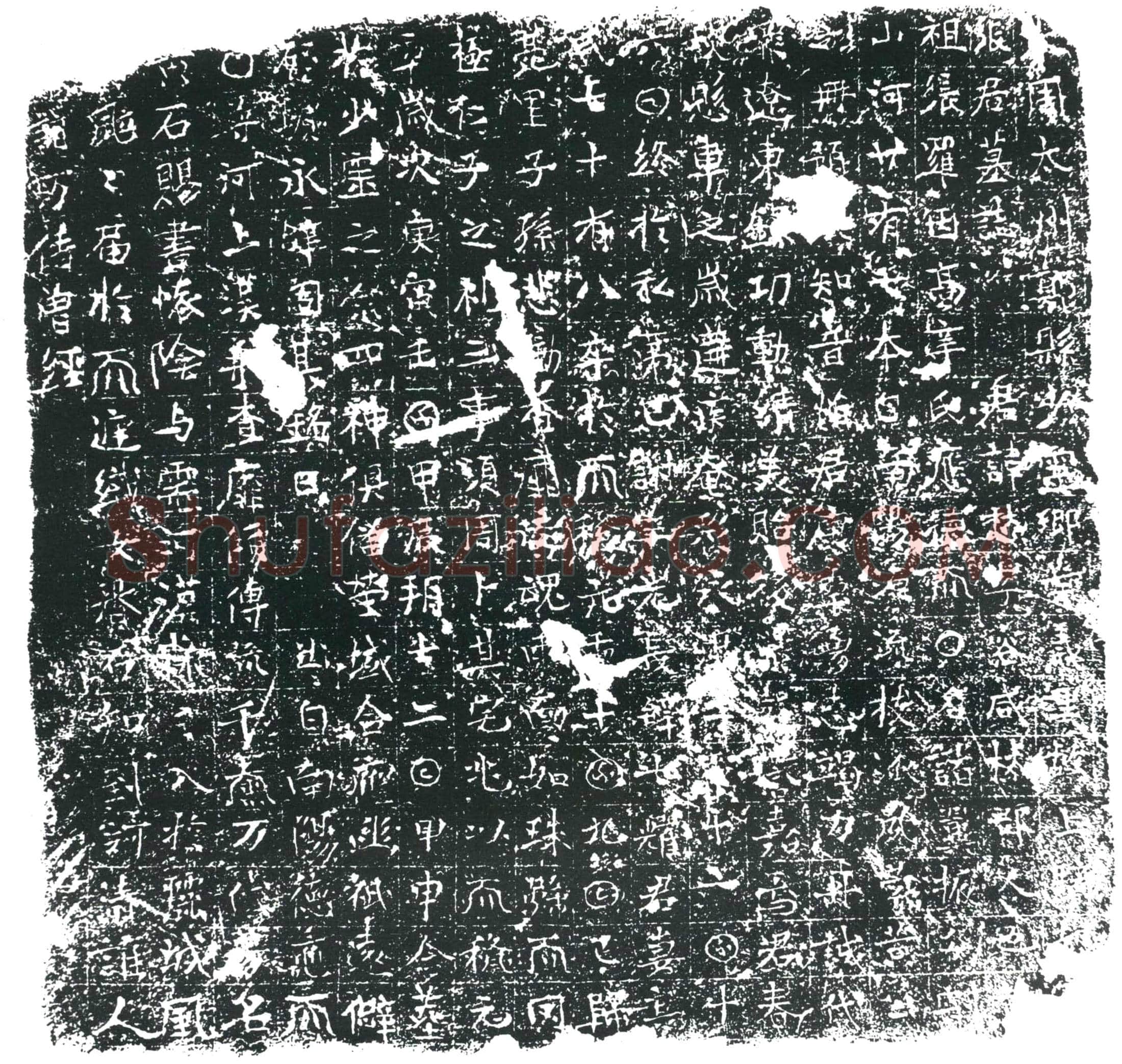 唐 张愁 墓誌