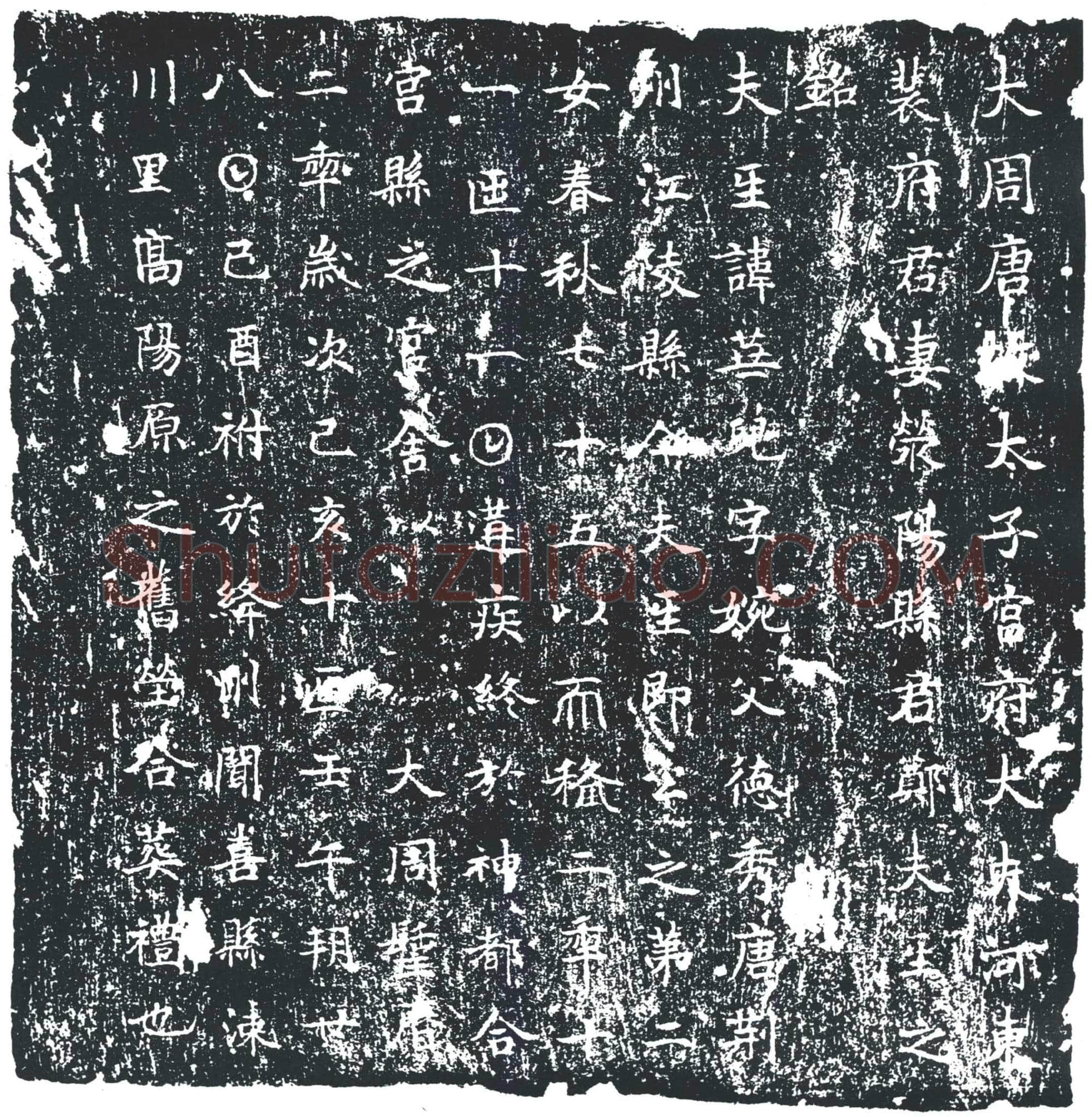 唐 郑华儿 墓誌