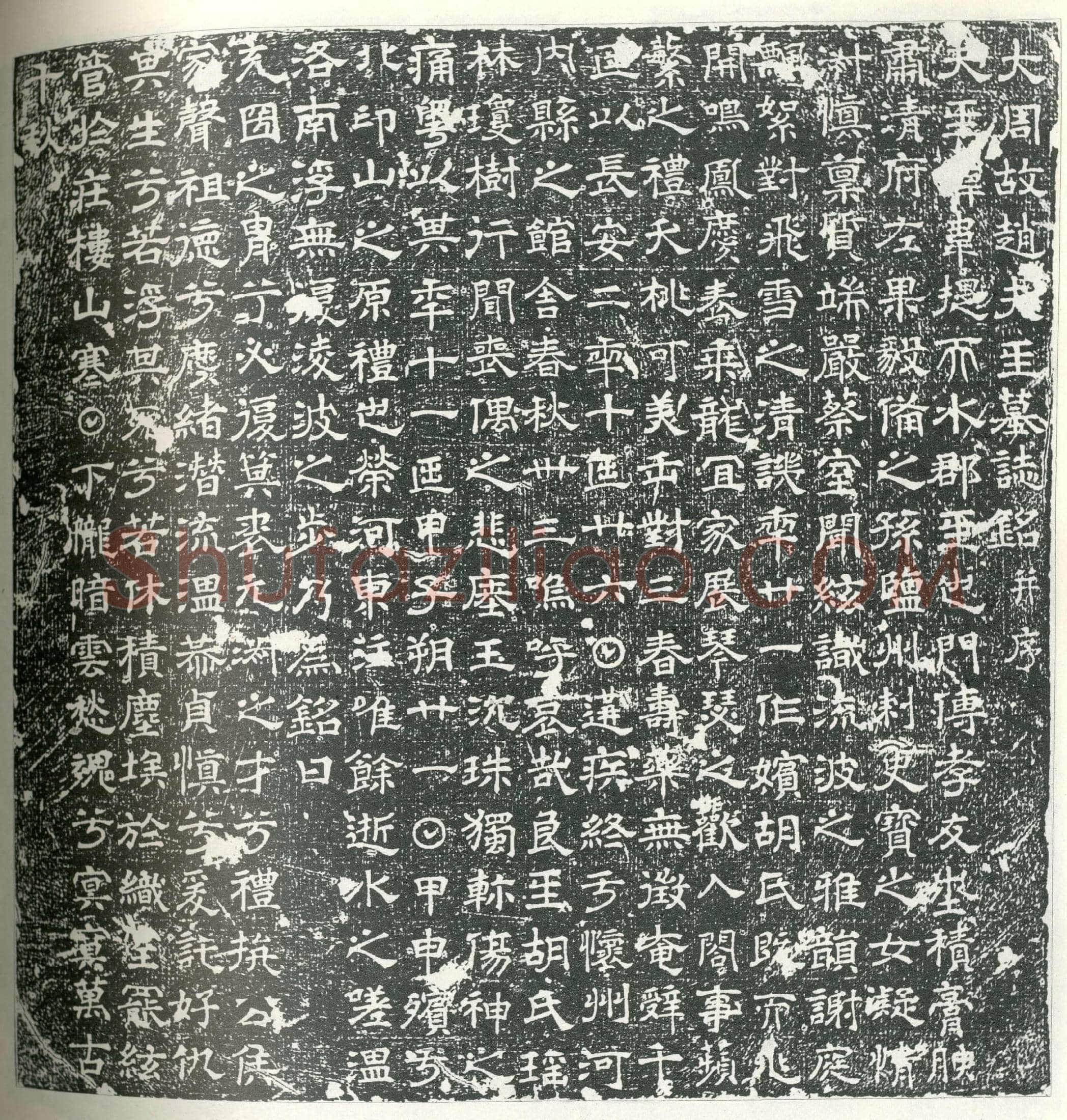 唐 赵韦提 墓誌