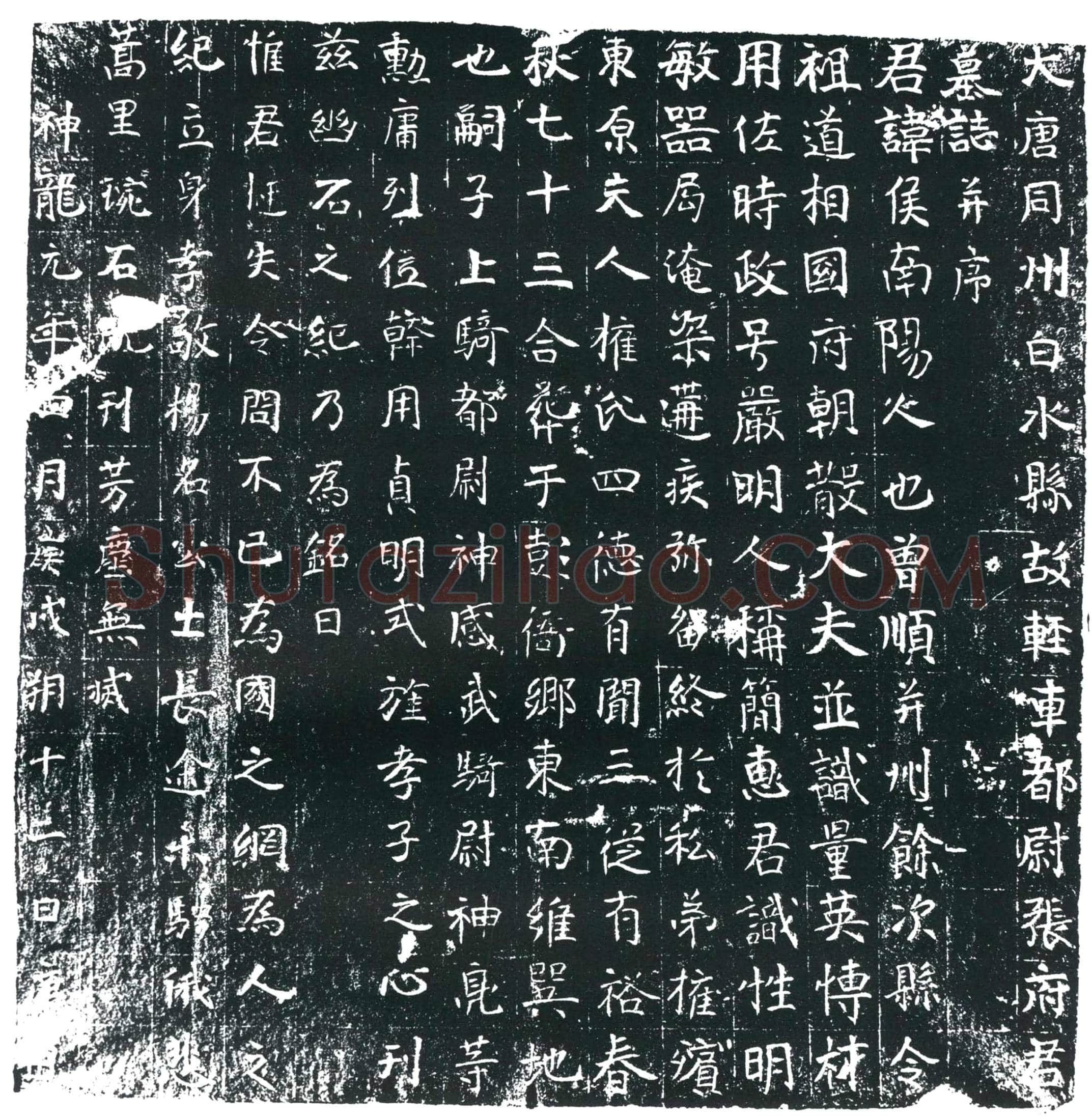唐张侯墓誌