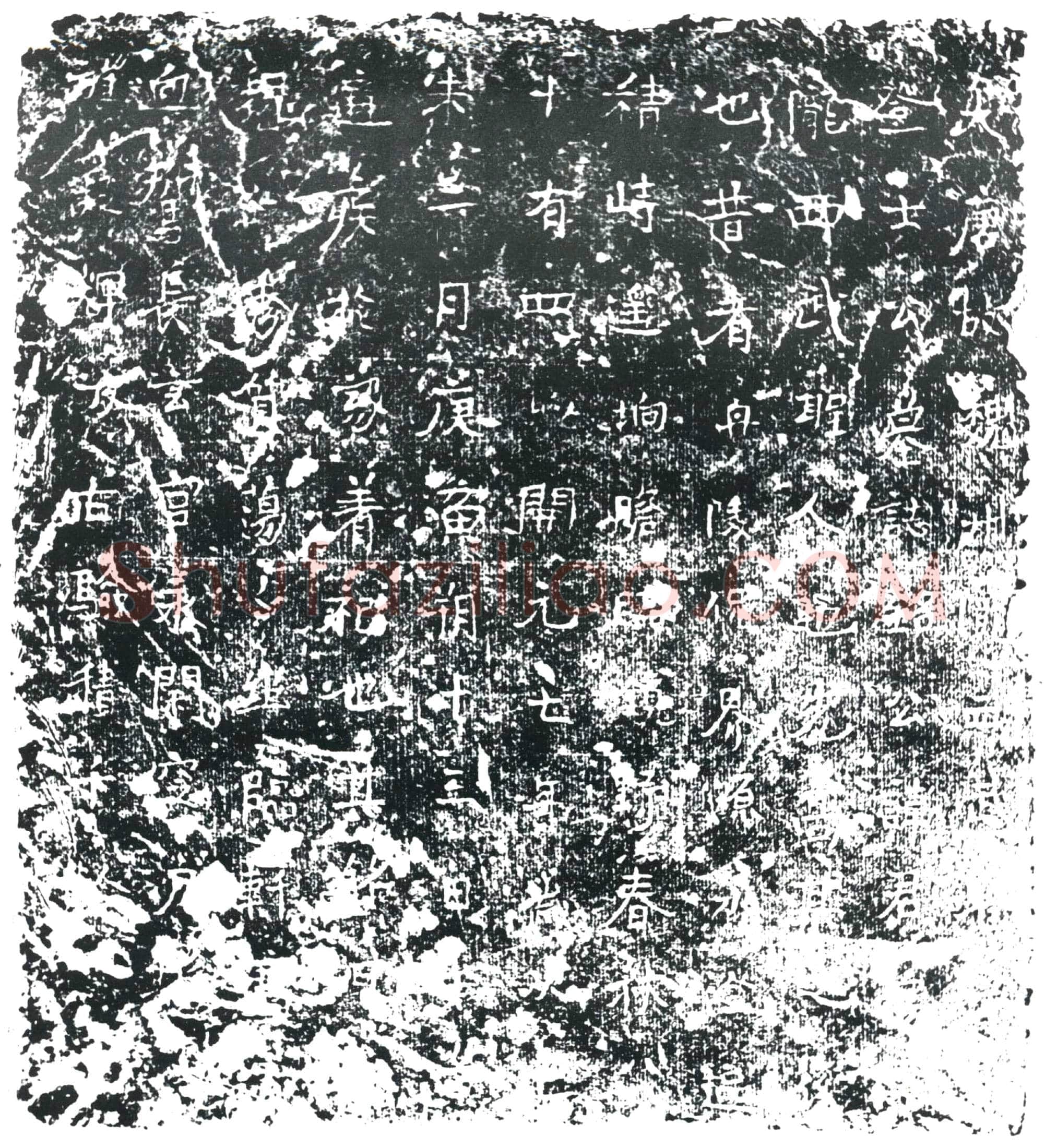 唐 士君□□ 墓誌