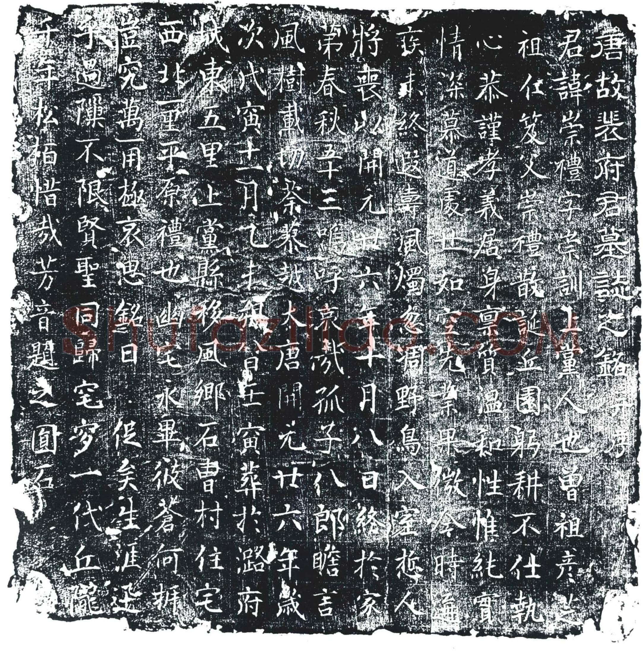 唐 裴崇礼 墓誌