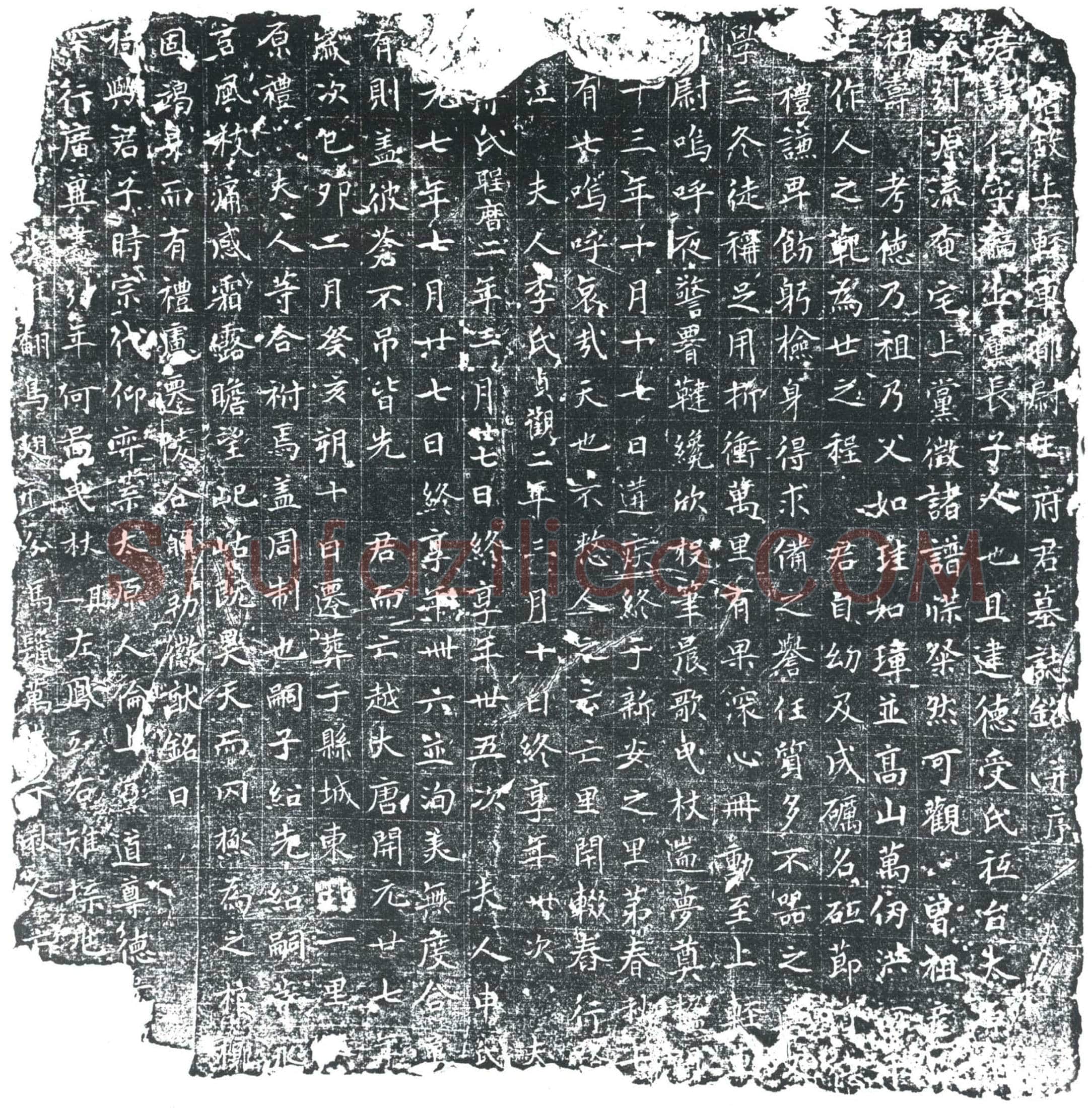 唐 王仁 墓誌