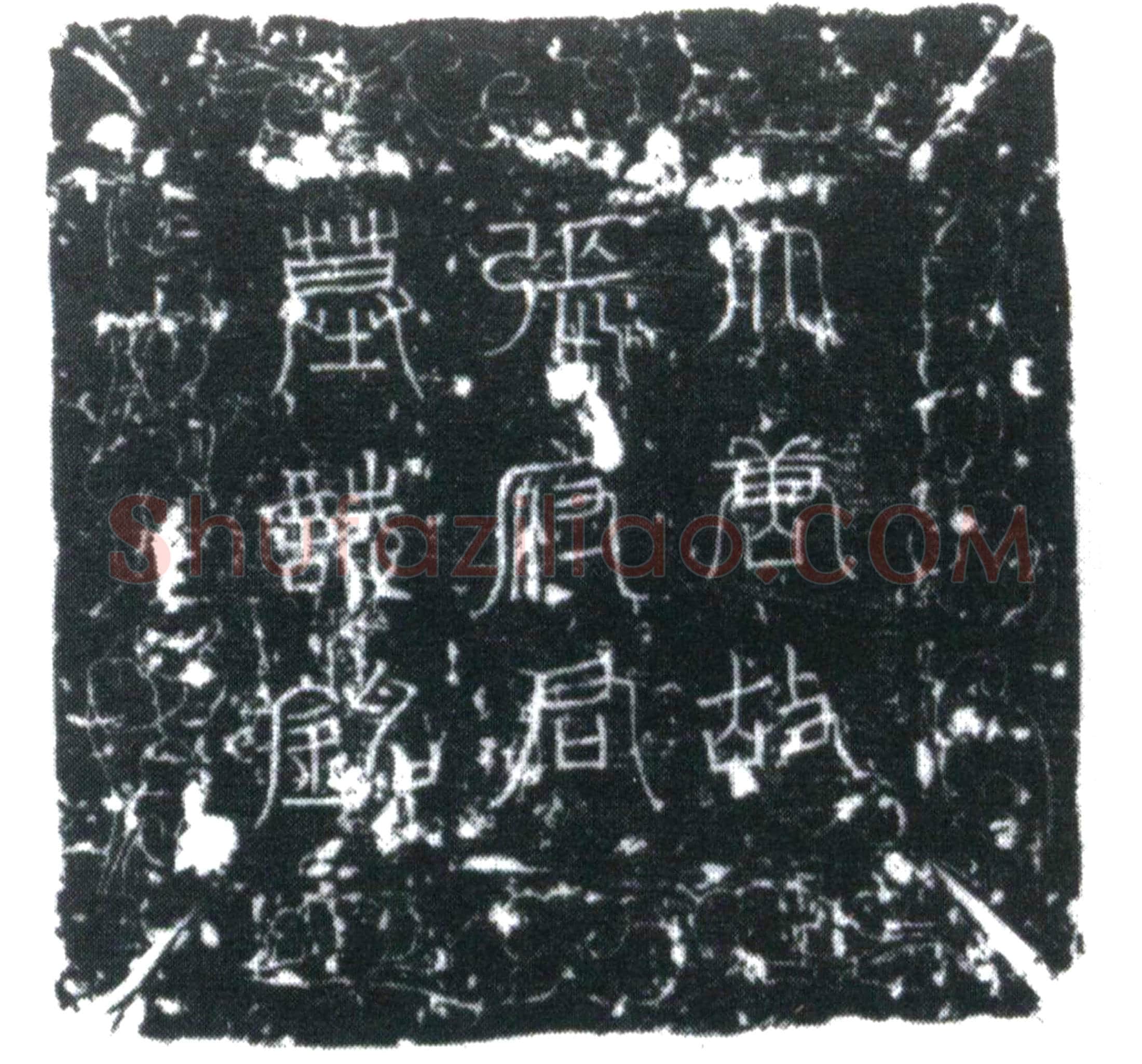 唐 张巽 墓誌