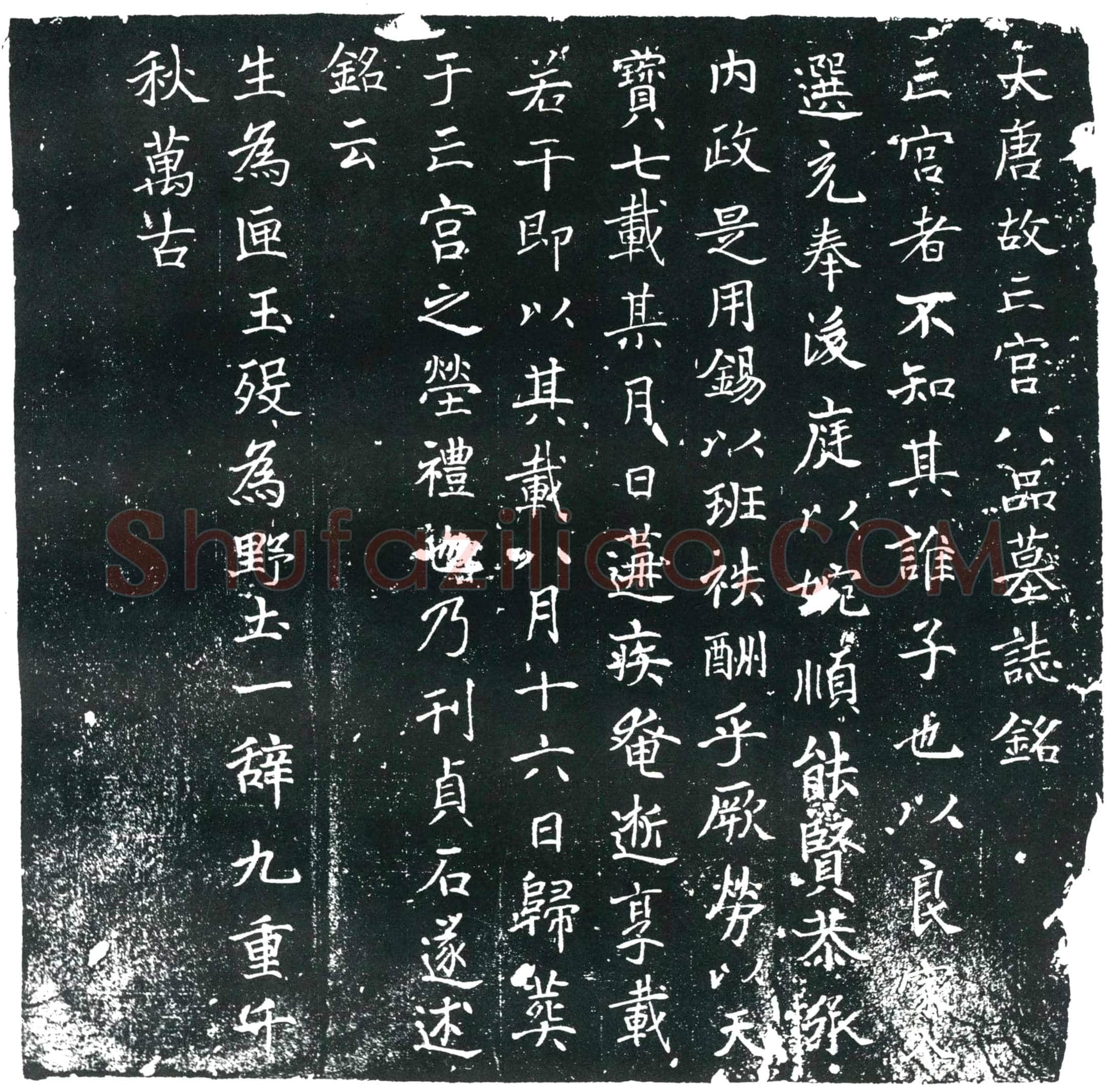 唐亡宫八品墓誌