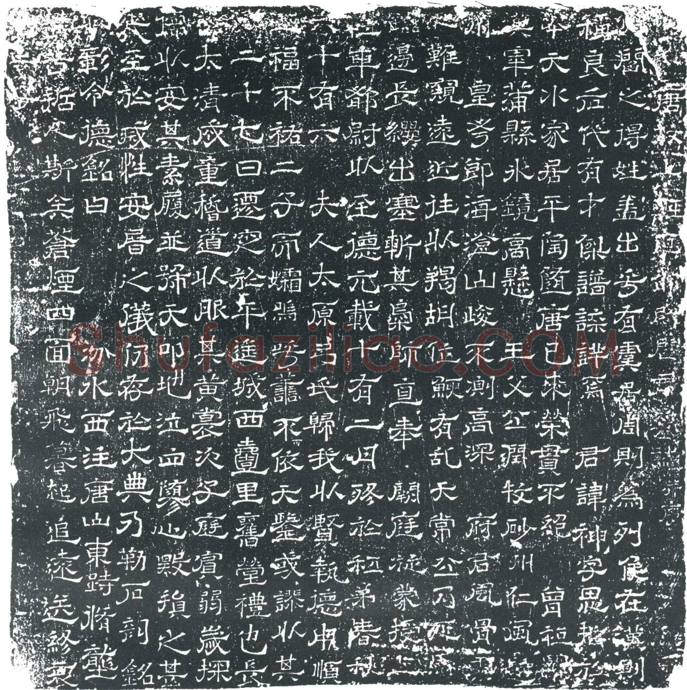 唐 阎神 墓誌