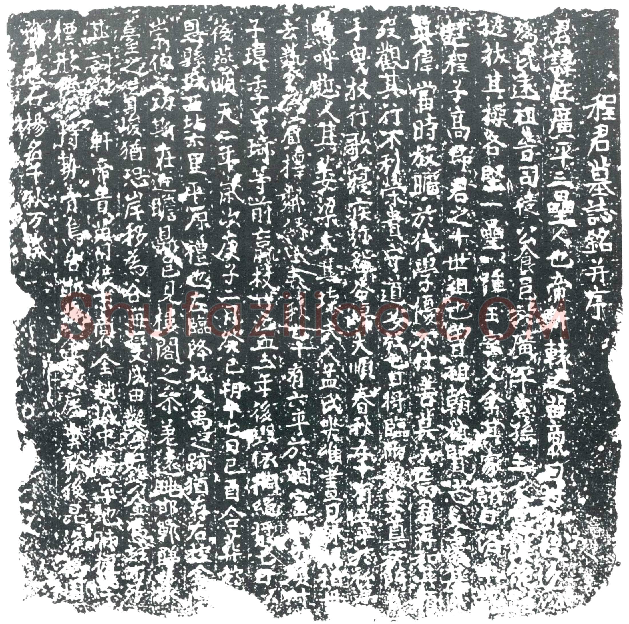 唐 程庄 墓誌