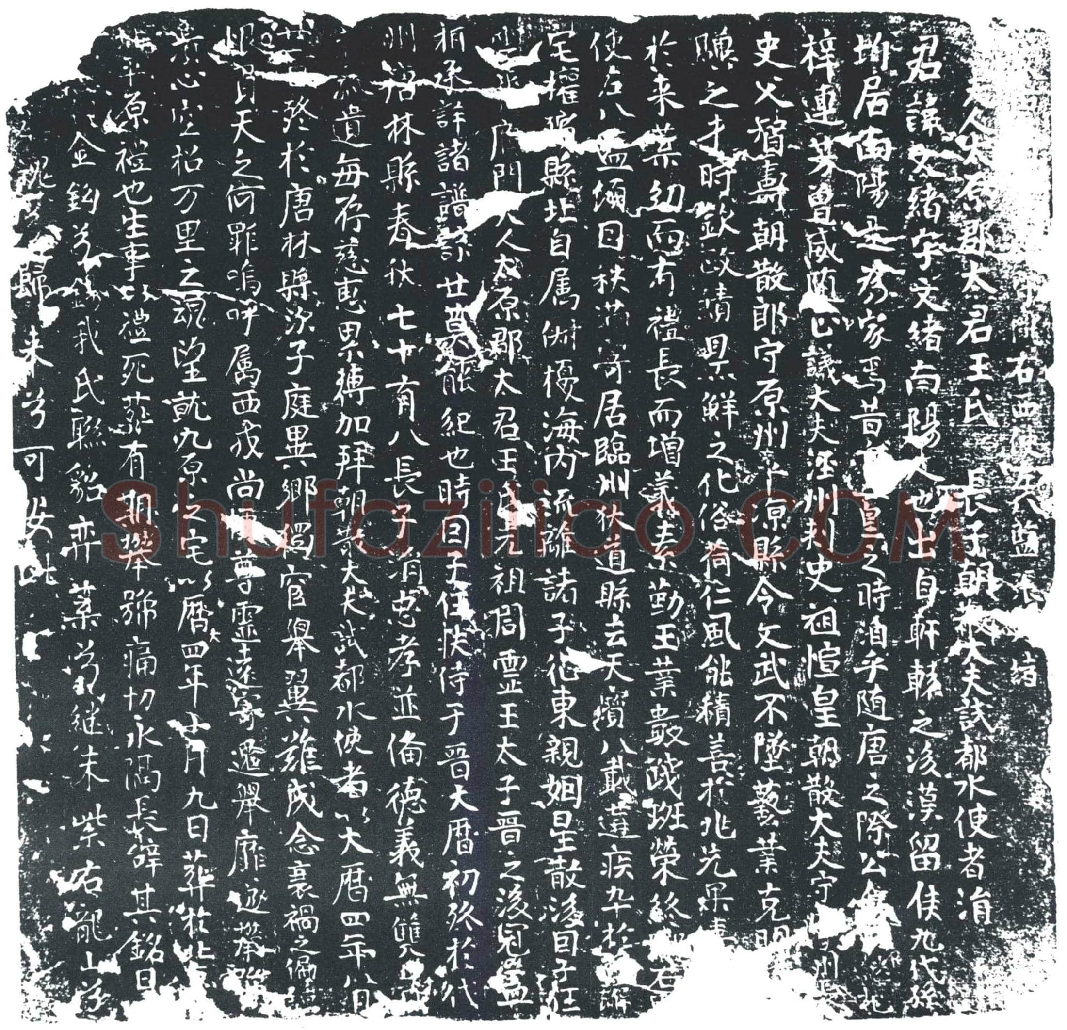 唐 张文绪夫人王氏 墓誌