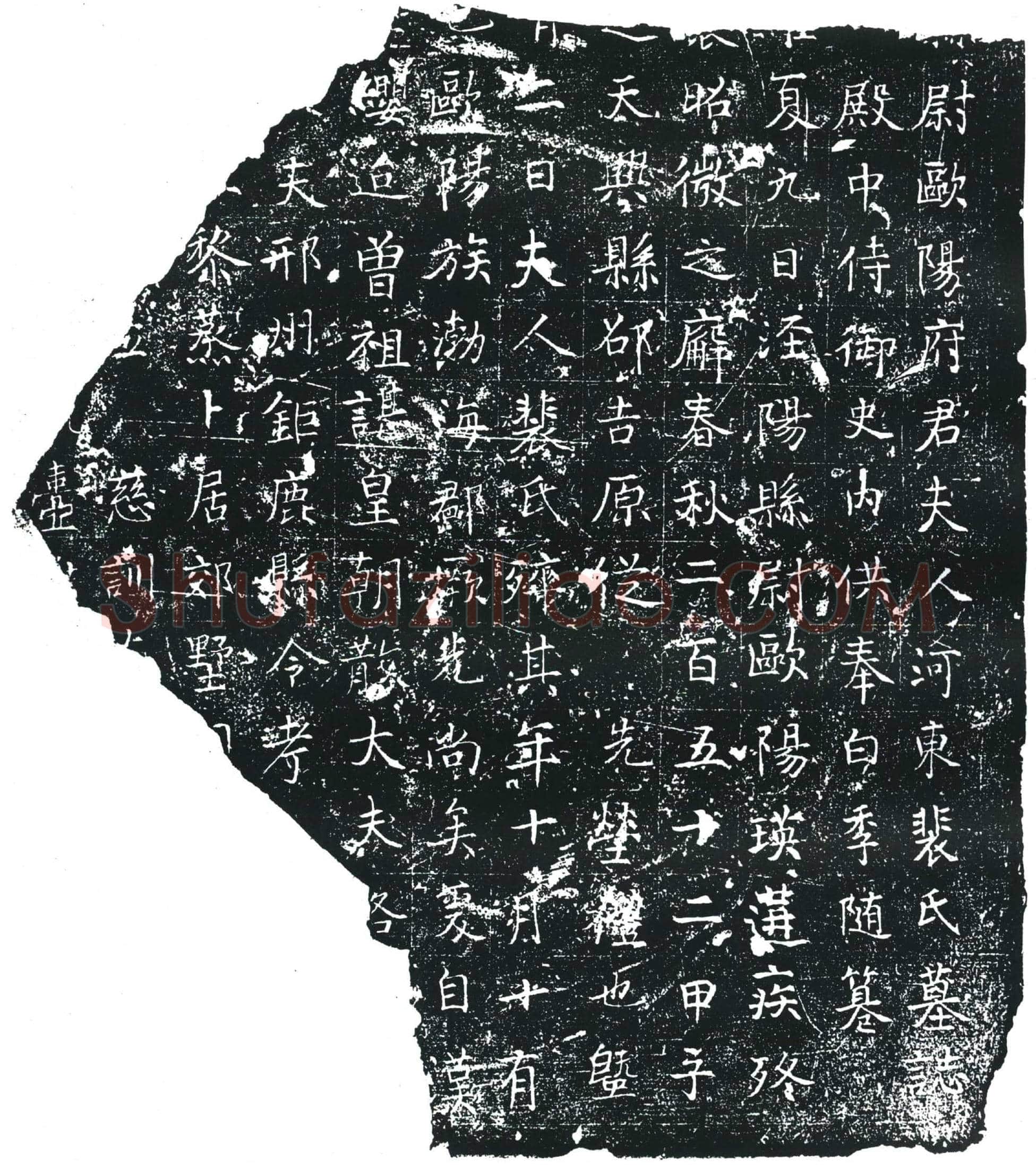 唐欧阳府君夫人裴氏墓誌