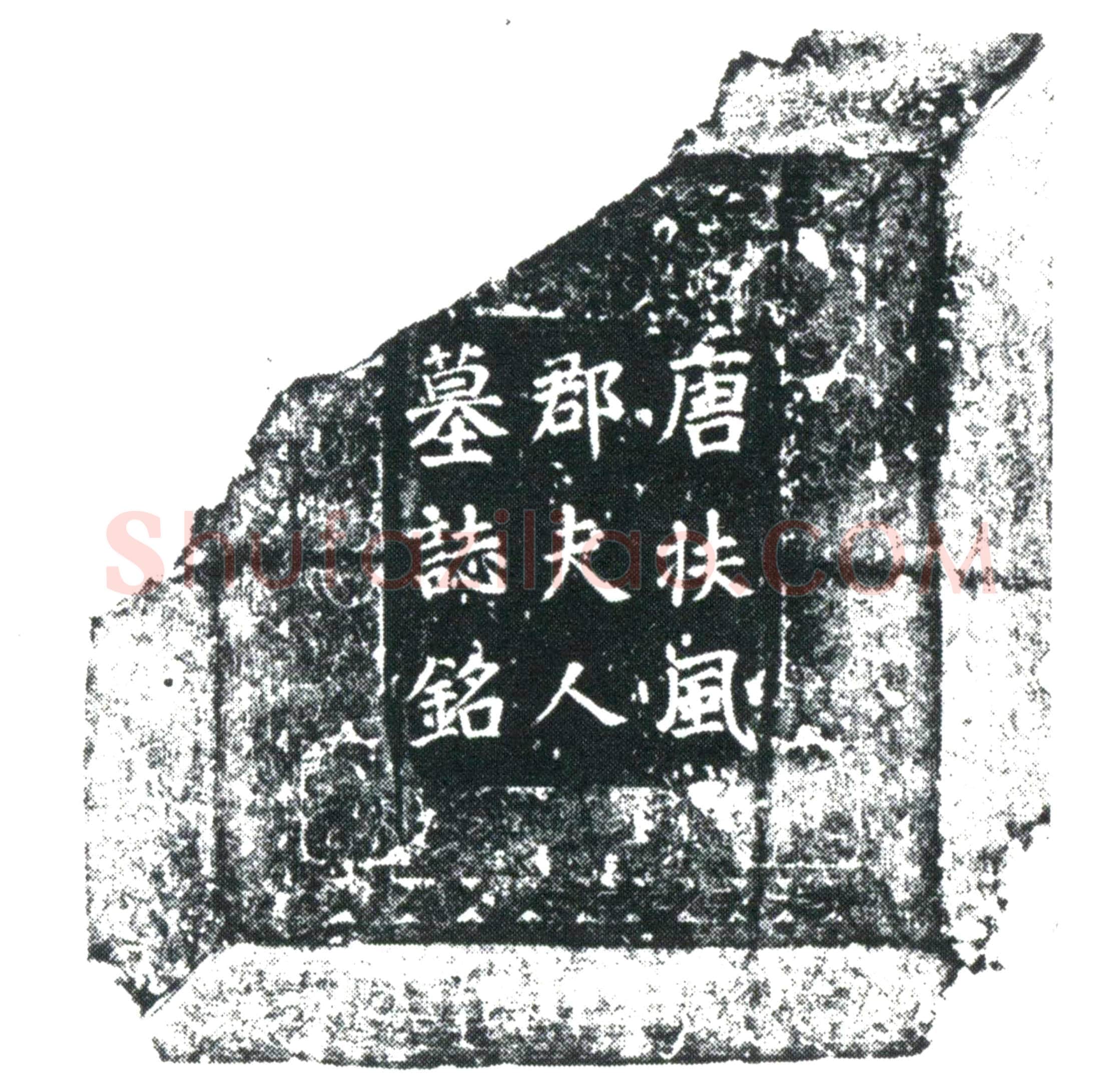 唐 杜府君夫人韦氏 墓誌