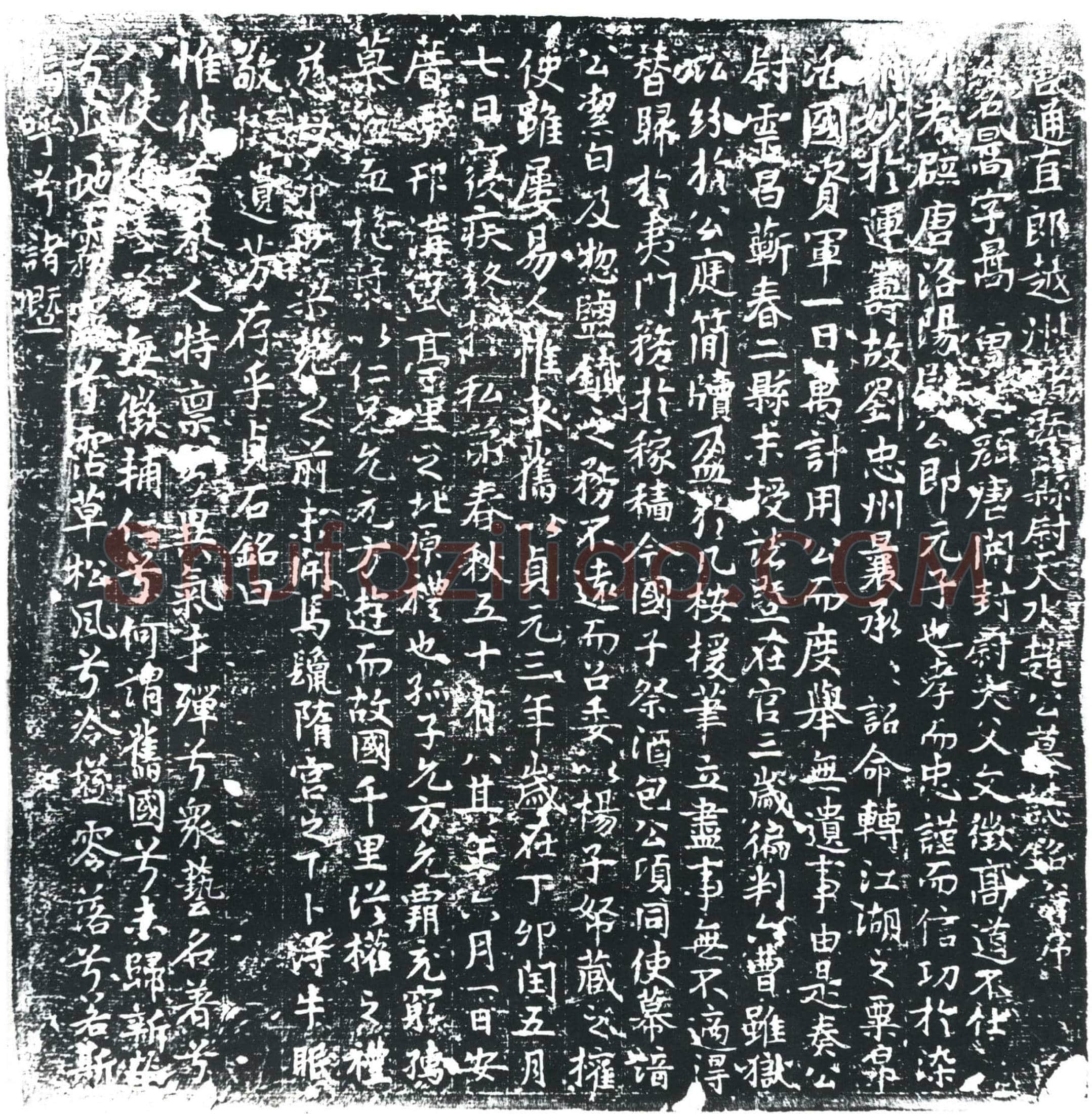 唐 赵暠 墓誌