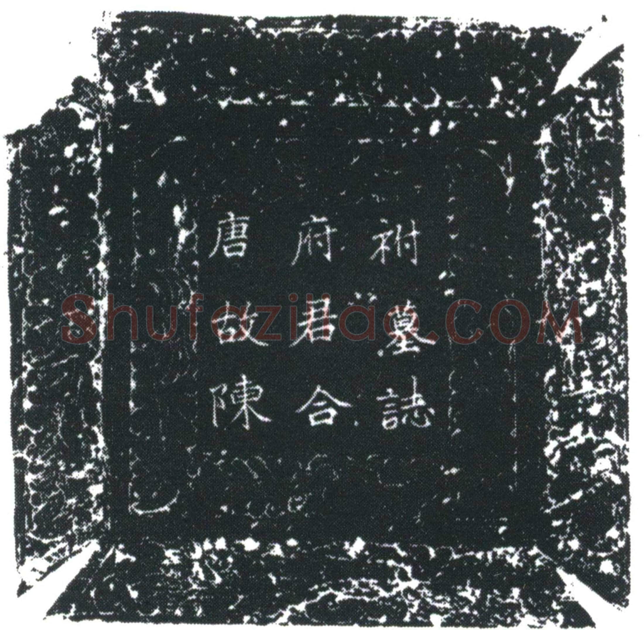 唐 陈彦 辅真□ 墓誌