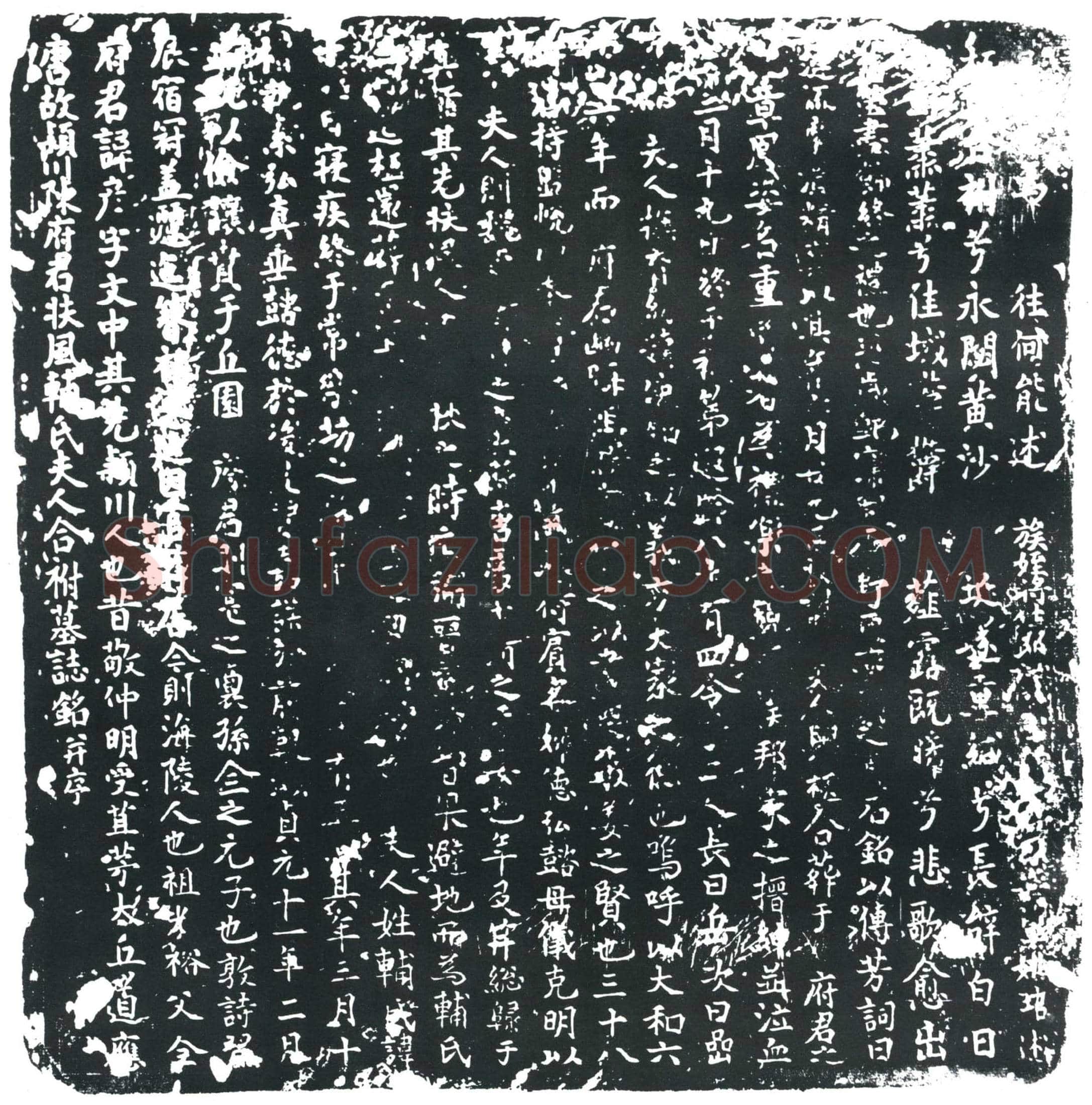 唐 陈彦 辅真□ 墓誌