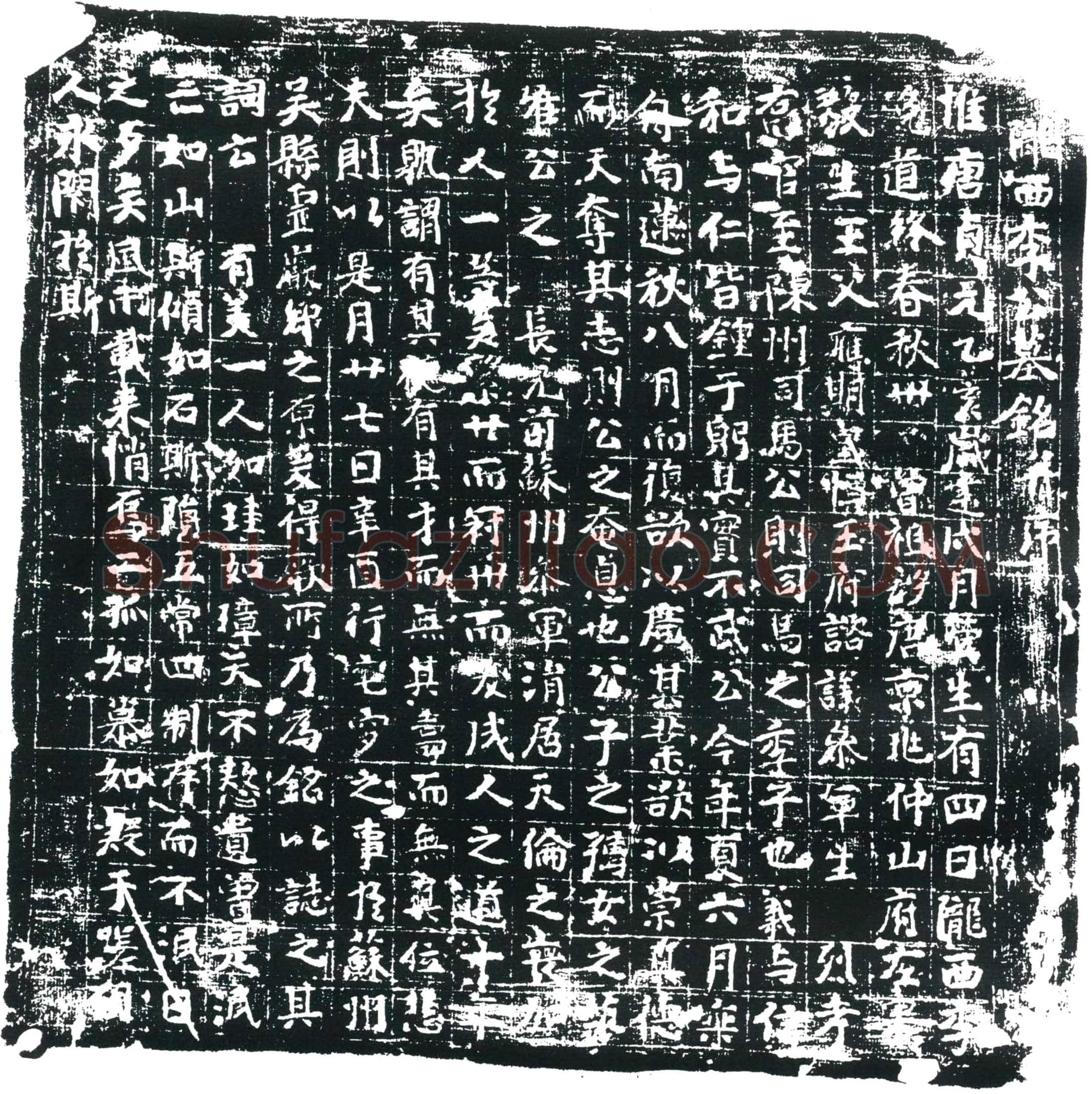 唐 李浼道 墓誌
