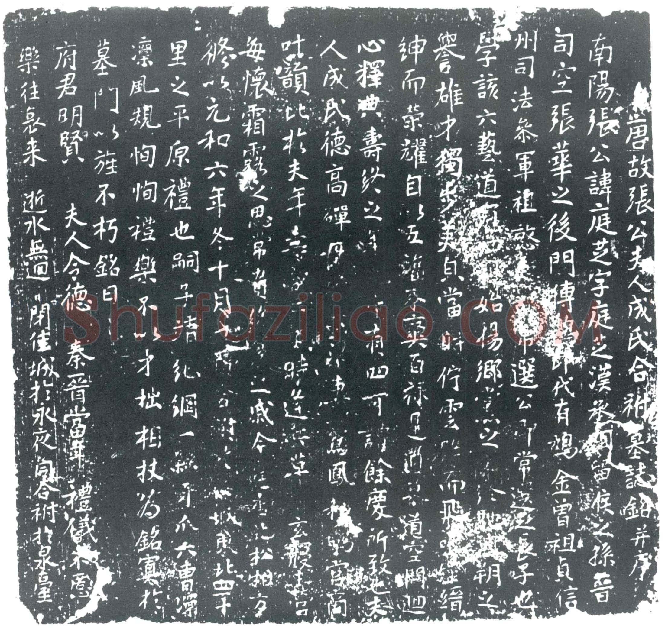 唐张庭芝；张庭芝夫人成氏墓誌