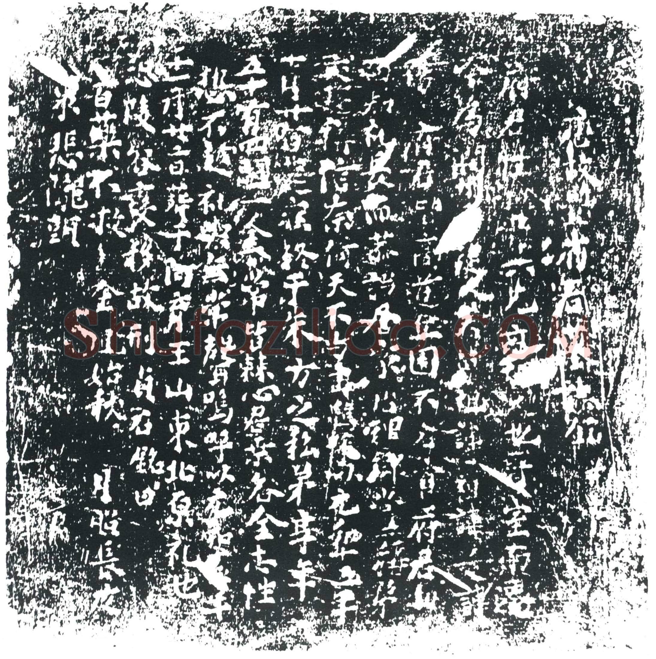 唐 □府君 墓誌