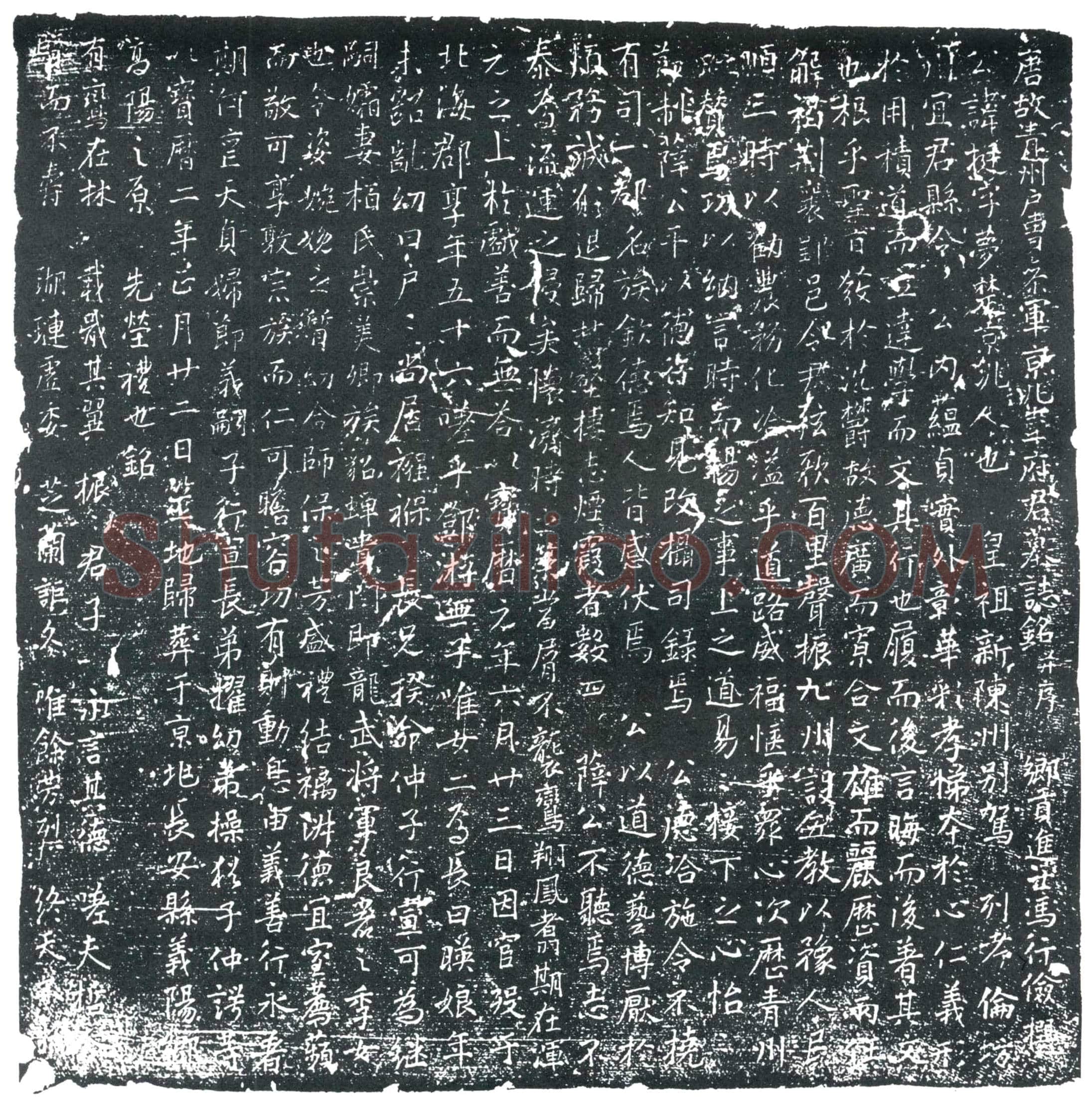 唐韦挺墓誌