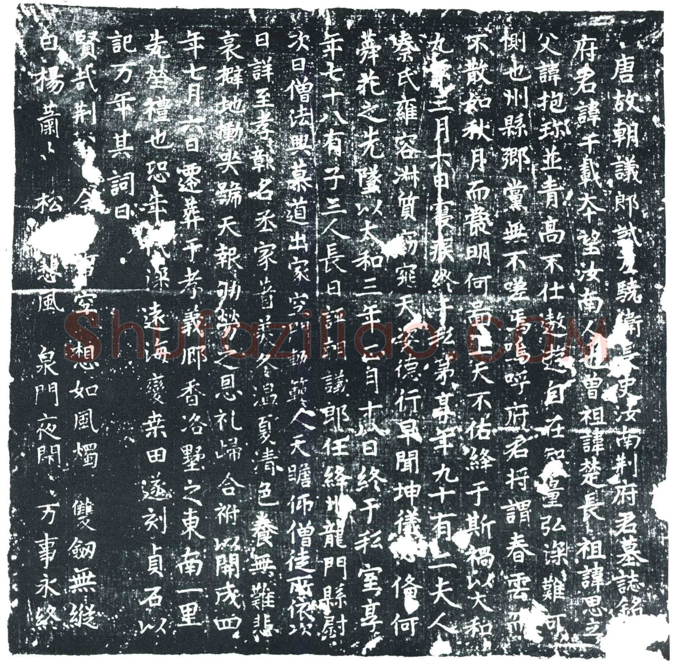唐 荆千载 墓誌