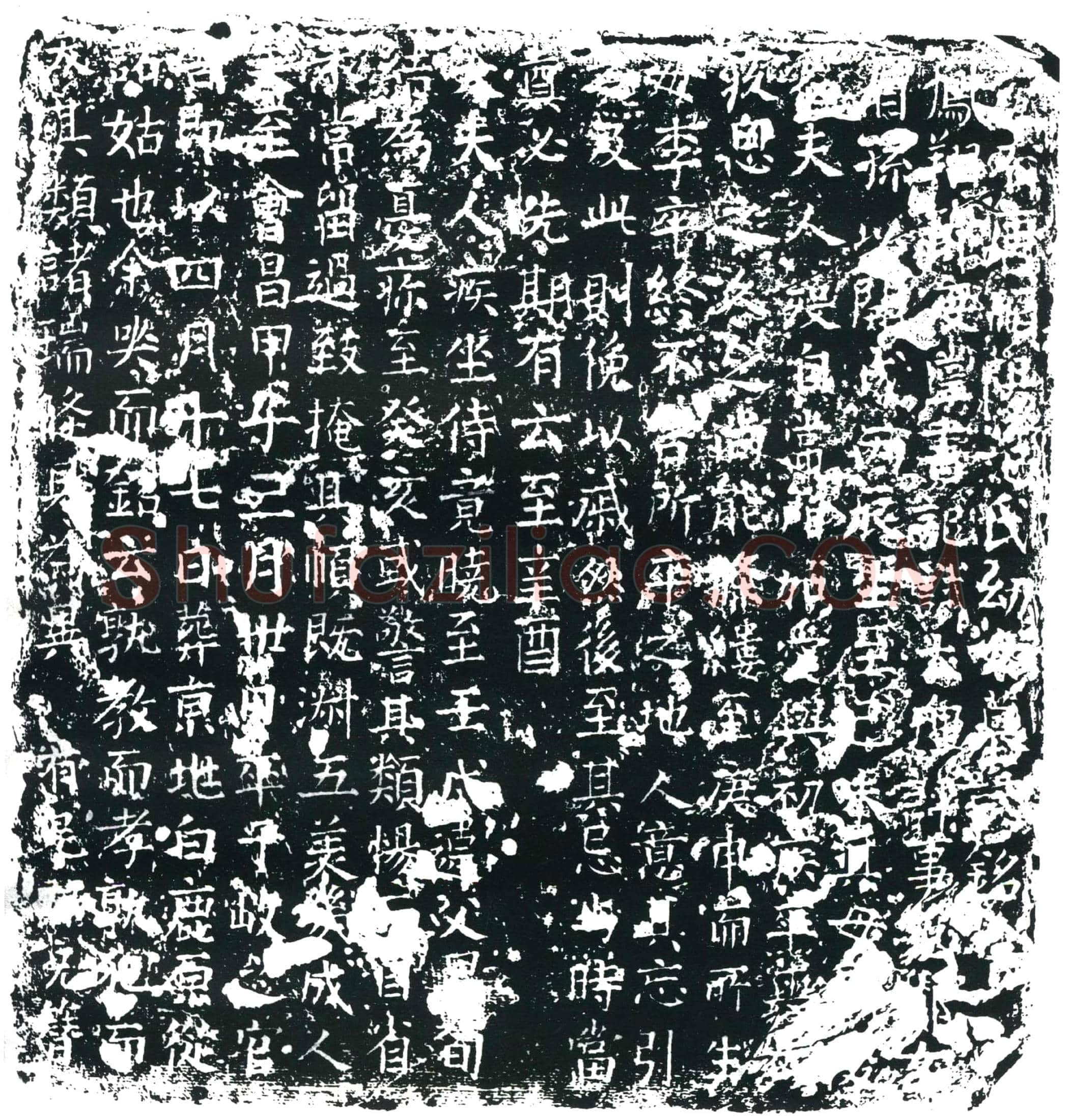 唐 范氏幼女 墓誌
