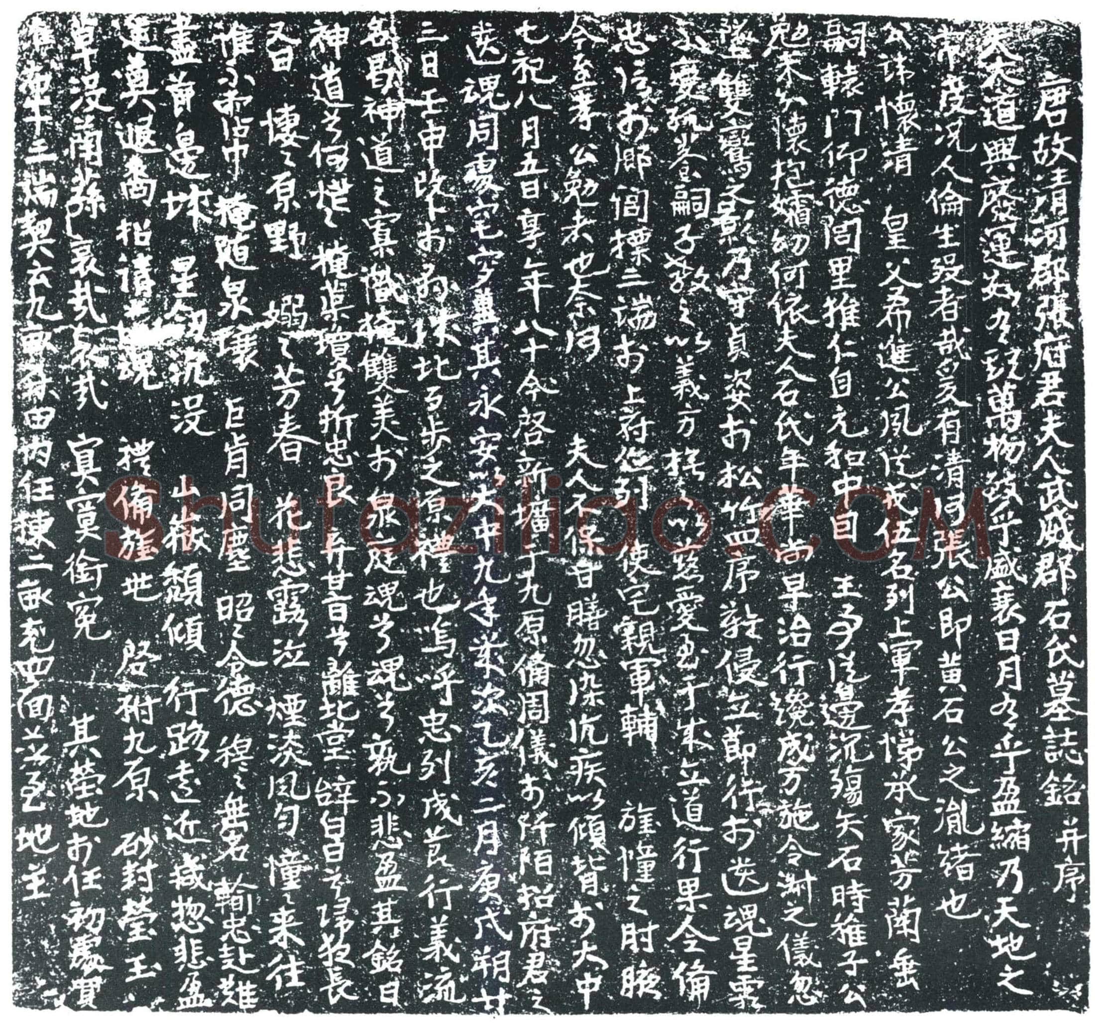 唐 张怀清夫人石氏 墓誌