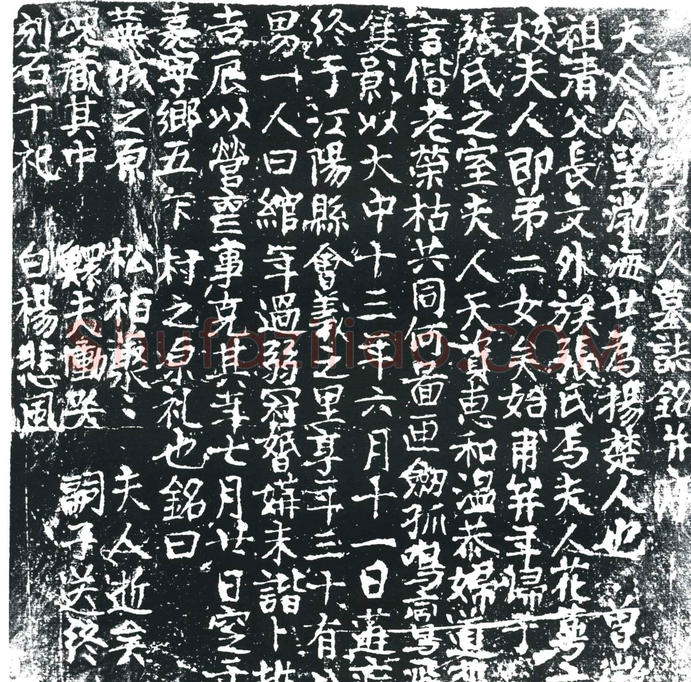 唐 张公夫人封氏 墓誌