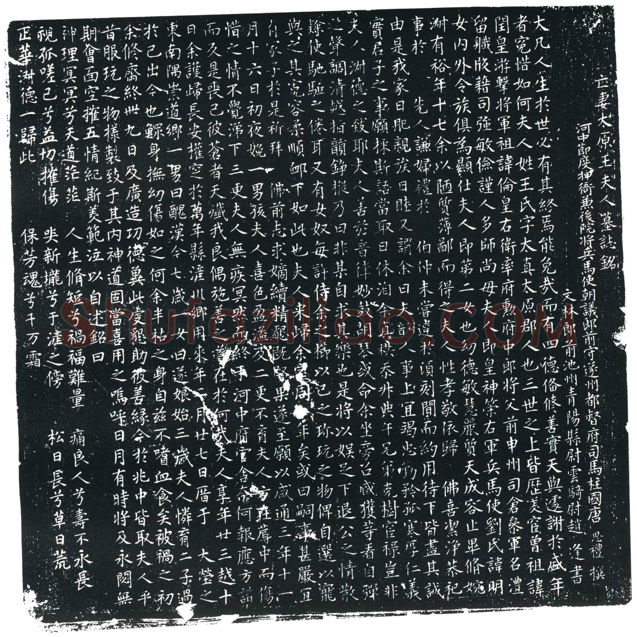 唐 王太真 墓誌