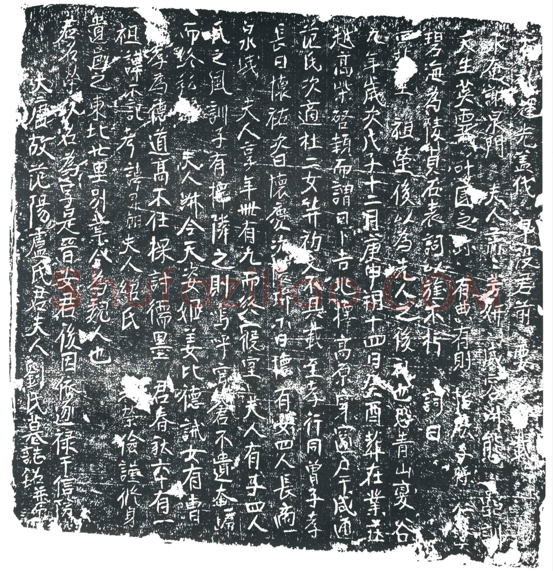 唐 卢荣夫人刘氏 墓誌