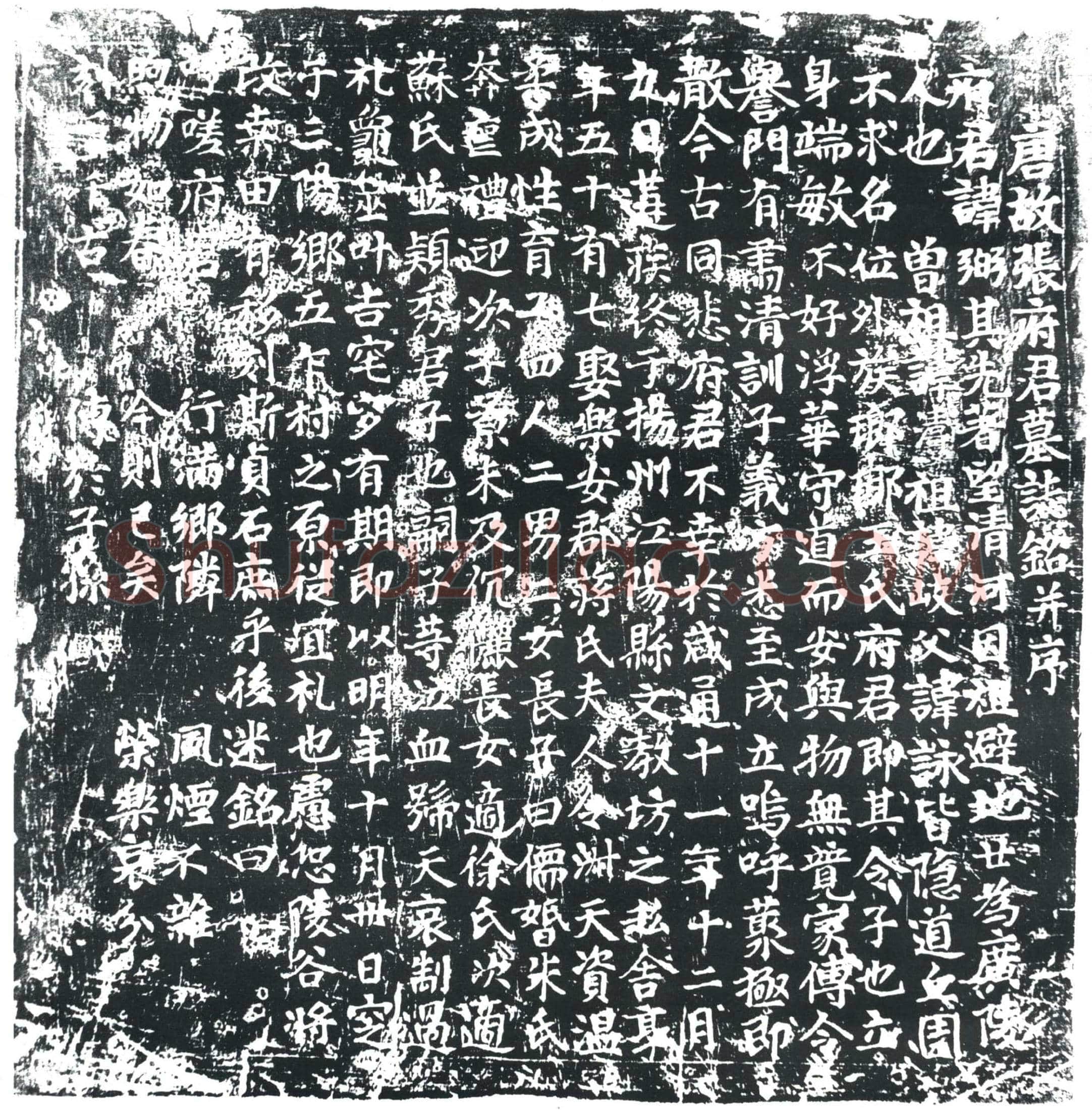唐 张弼 墓誌