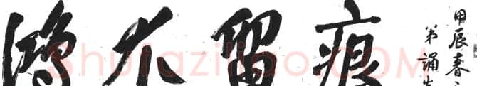 现代诗人郑诵先章草书法作品欣赏 | 毛笔书法作品