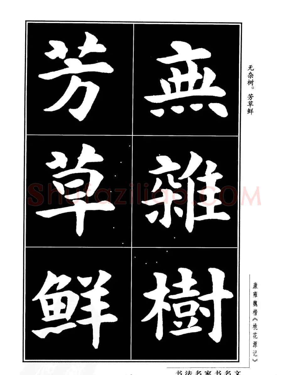 康雍魏楷书法欣赏《桃花源记》 | 软笔楷书字帖