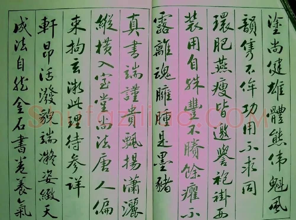 青少年行书范本《廖蕴玉著并书.论书七绝句一百首》 | 软笔行书字帖
