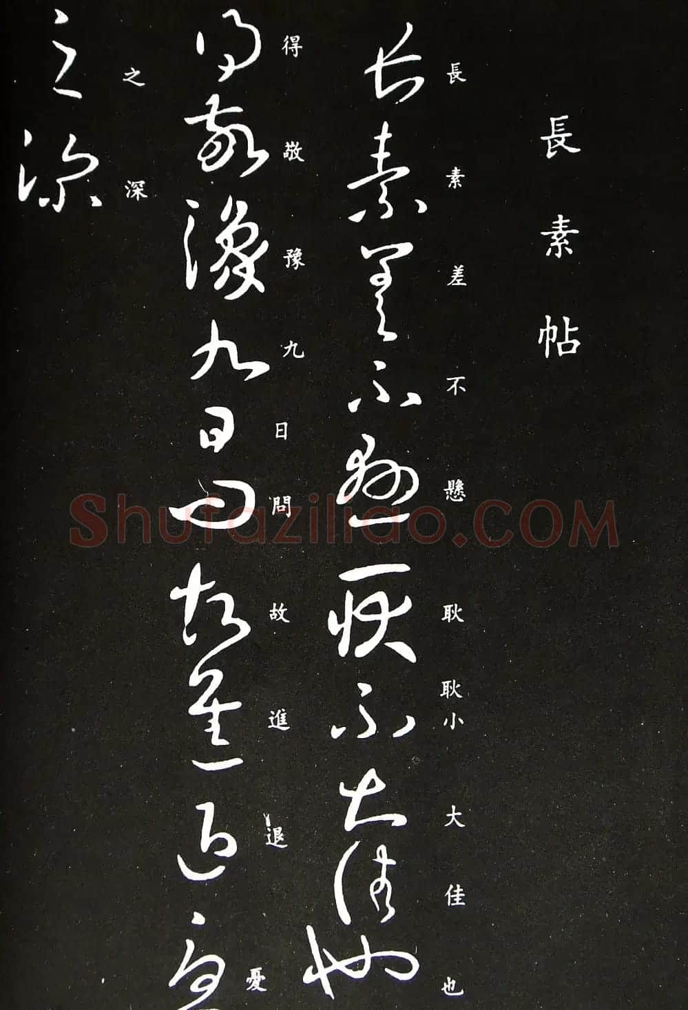 王羲之草书丛帖之《长素帖》 | 名家书法作品精选