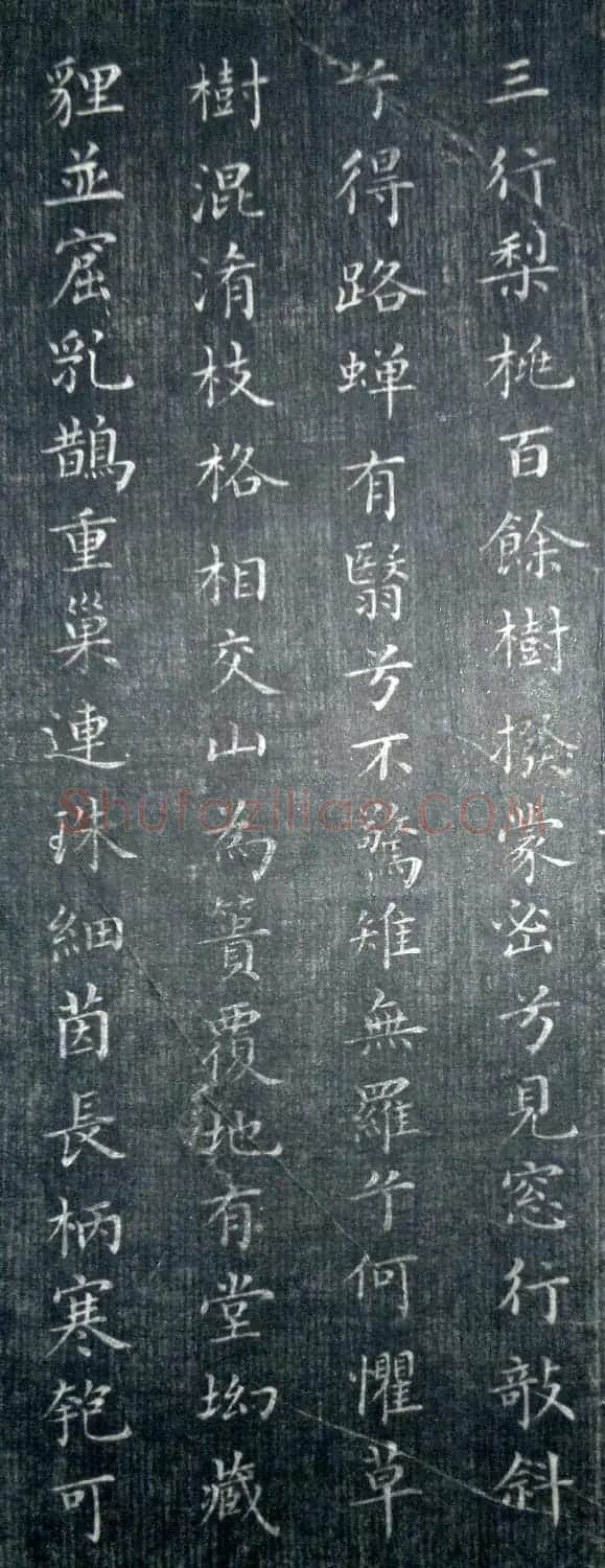 清代毛树棠小楷书法欣赏《小园赋》 | 书法名家作品鉴赏