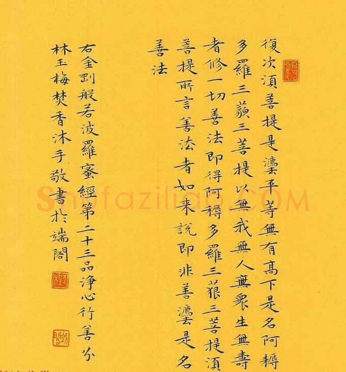 漳州市女书法家林玉梅小楷金刚经 | 书法作品赏析