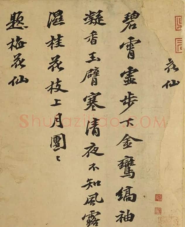 明代陈沂善学苏体录自作诗二首 | 名家书法作品赏析