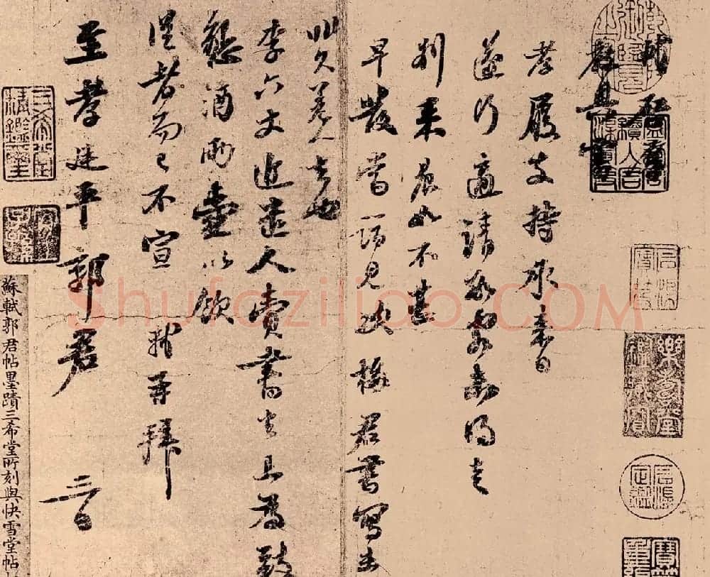苏轼行书欣赏廷平郭君帖 | 软笔书法作品
