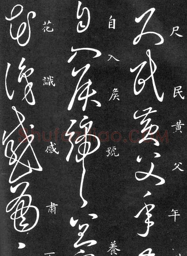 王羲之家藏原本《草书要领》 | 软笔草书字帖