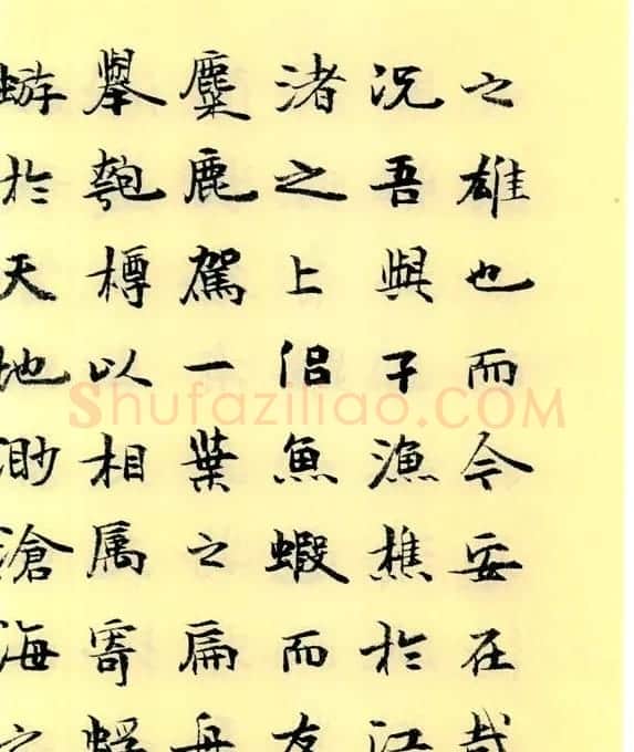 李小如楷书欣赏《前·后赤壁赋》 | 毛笔楷书字帖