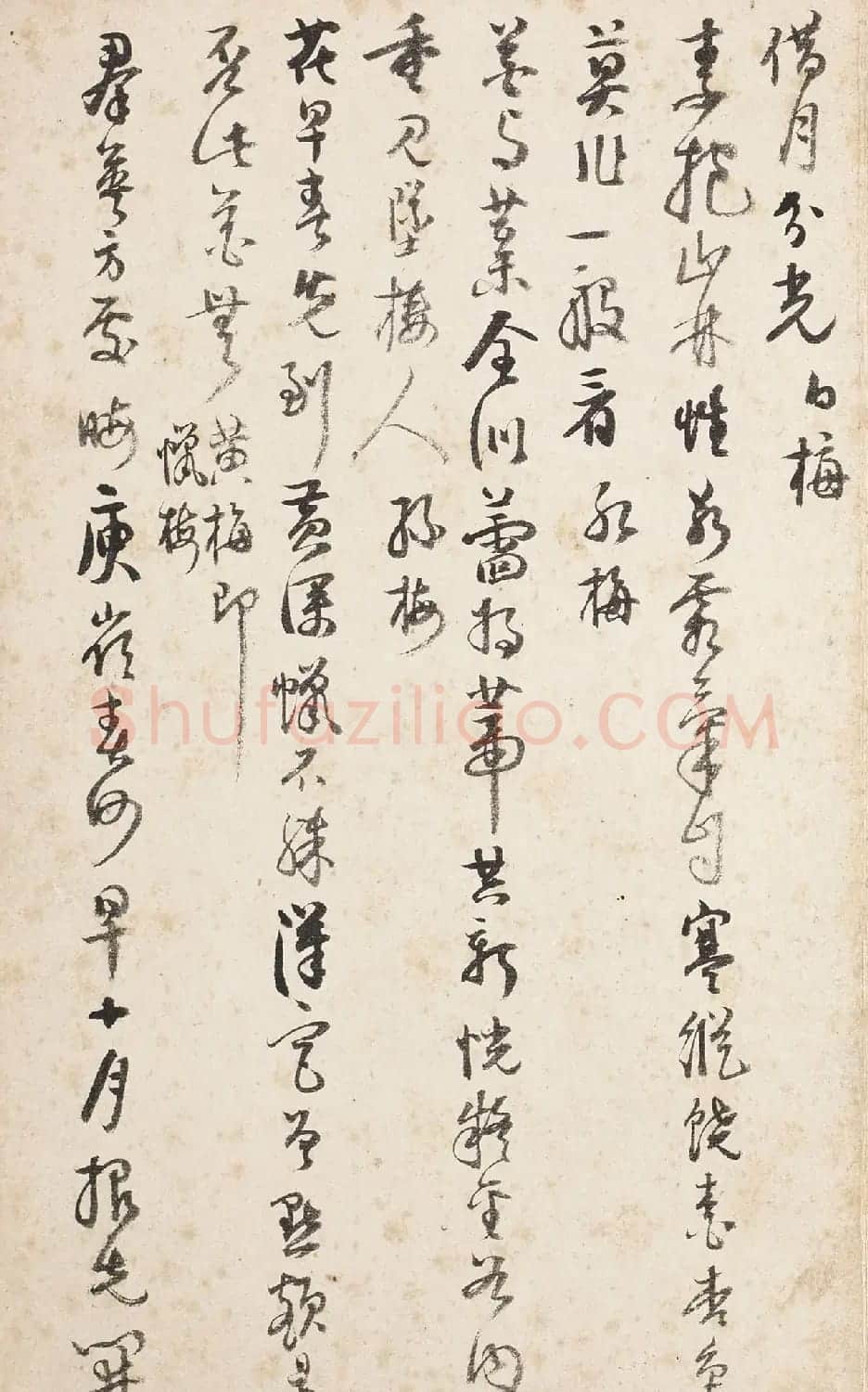 杭世骏行书《分题梅花诗一百首》 | 毛笔书法作品