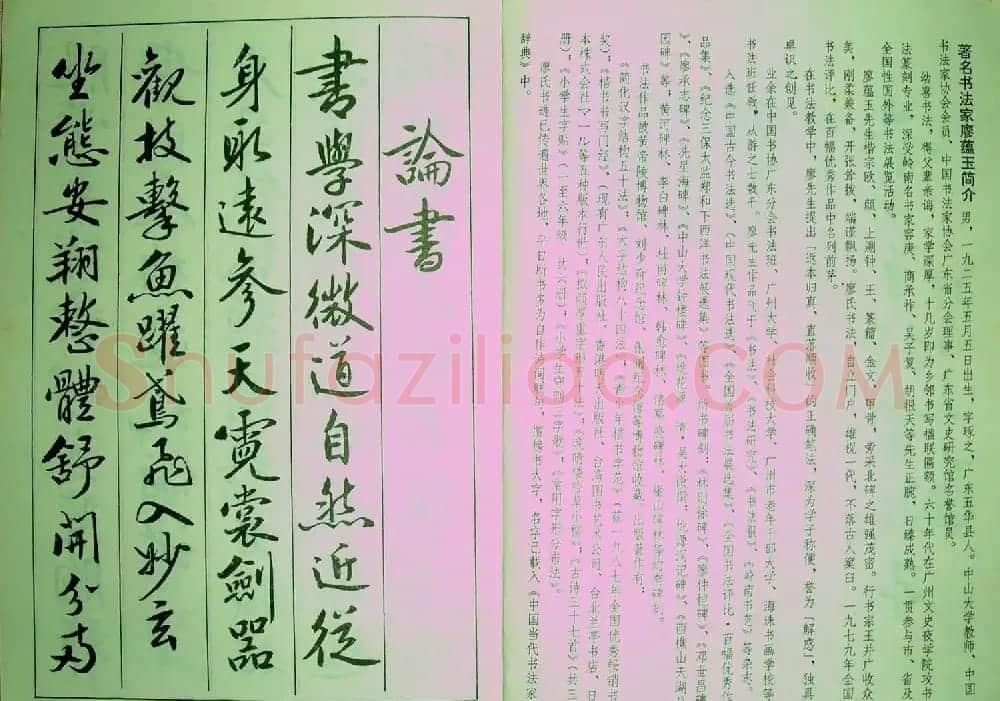字帖《青少年行书范本.论书绝句百首》 | 毛笔行书字帖