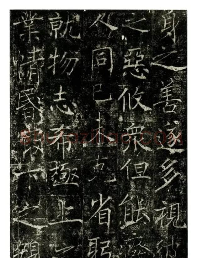 瘦金书之祖薛稷楷书欣赏《信行禅师碑》 | 书法碑帖