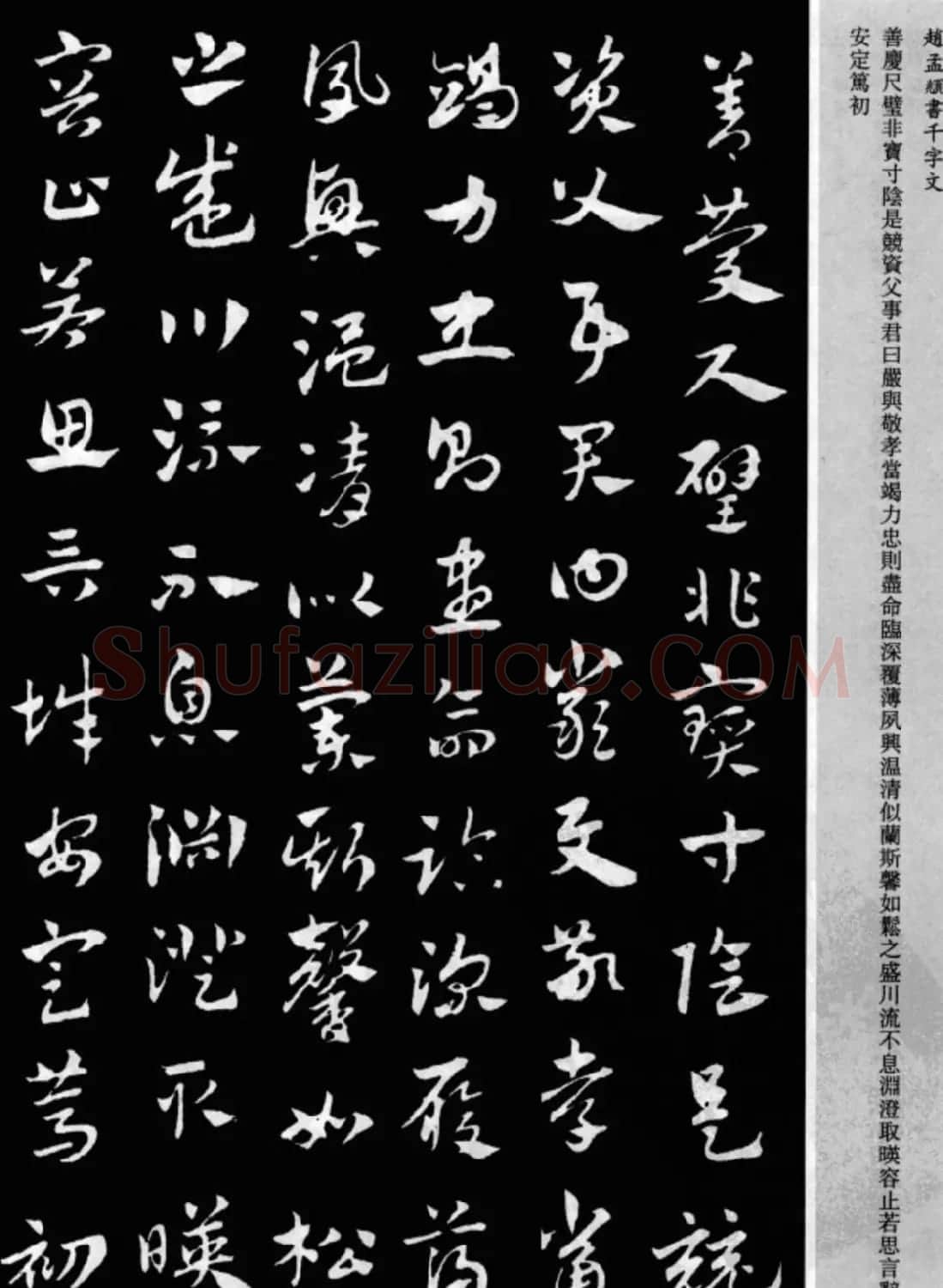 赵孟頫书法章草千字文(附释文)图片17P | 软笔草书字帖