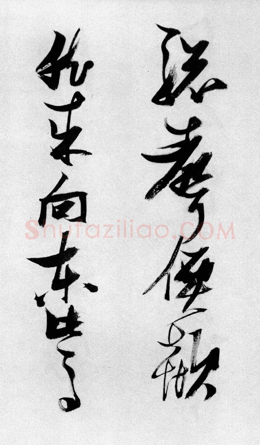 张瑞图草书长卷《杜甫高都护骢马行》 | 书法长卷