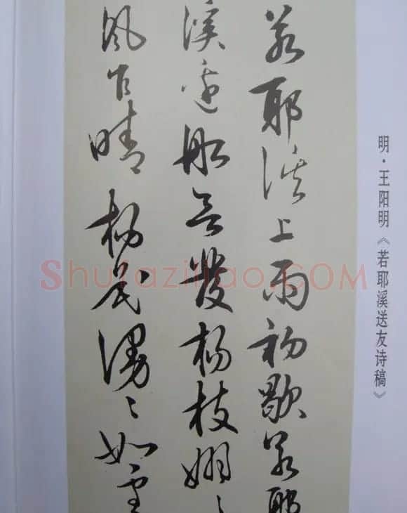 先儒王守仁书法《若耶溪送友诗稿》附跋文 | 软笔书法作品