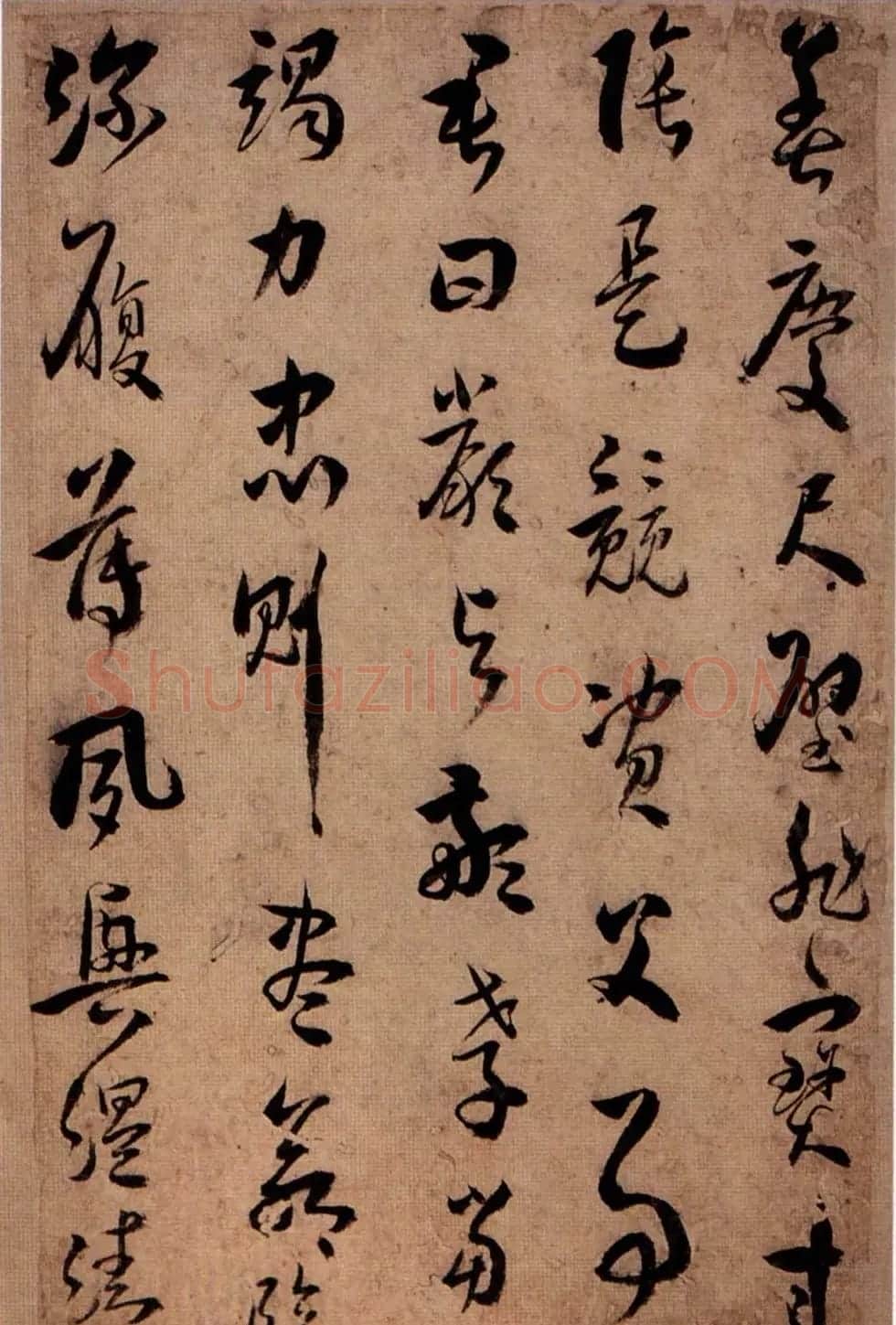 王应华草书欣赏《千字文册》 | 毛笔草书字帖