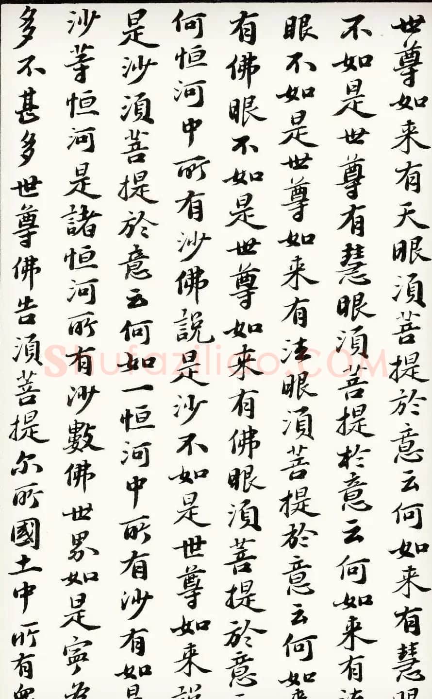 苏轼行楷书法欣赏《金刚经》全本 | 毛笔书法作品